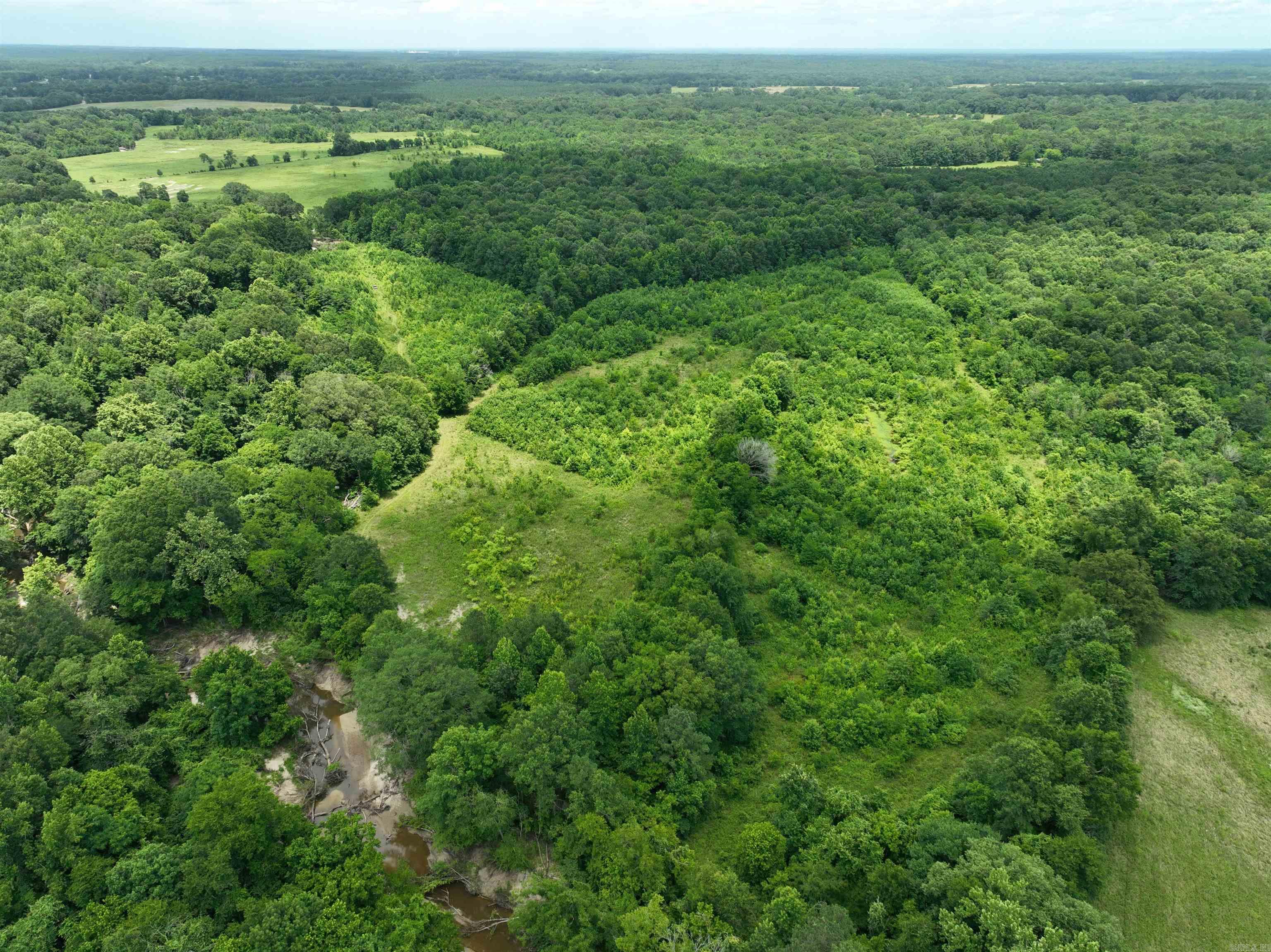 0000 53  Gurdon, AR
