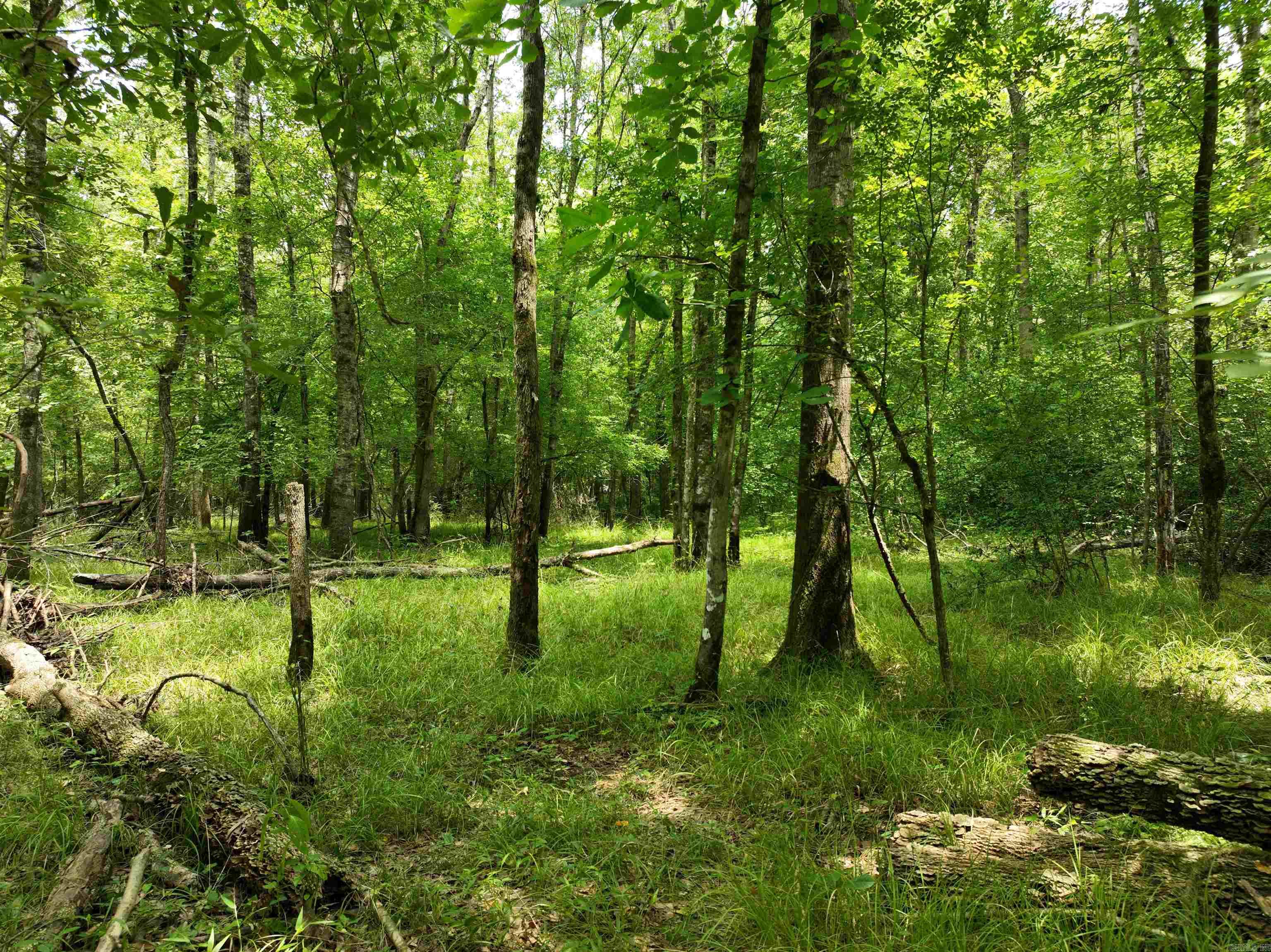 0000 53  Gurdon, AR