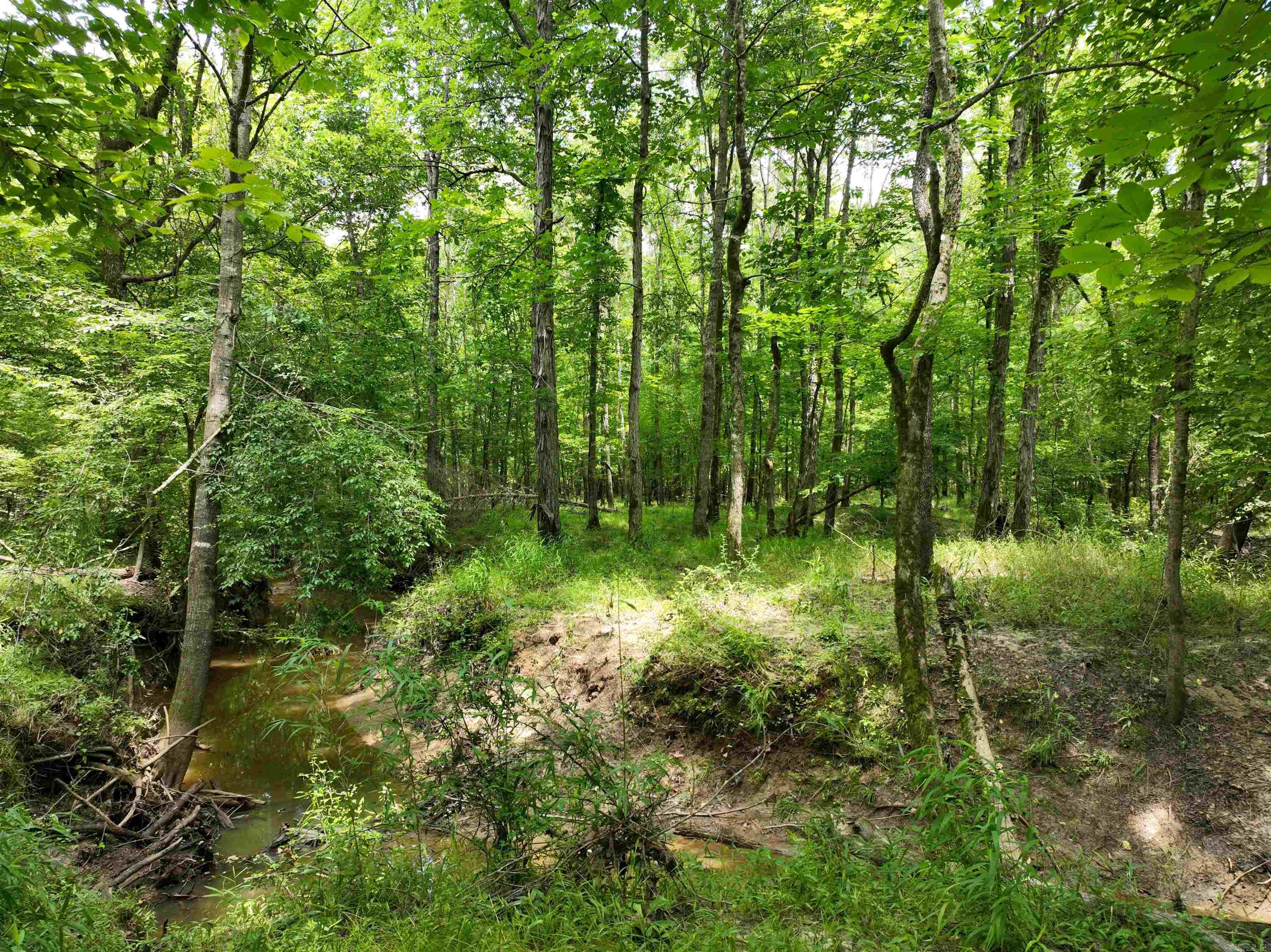 0000 53  Gurdon, AR