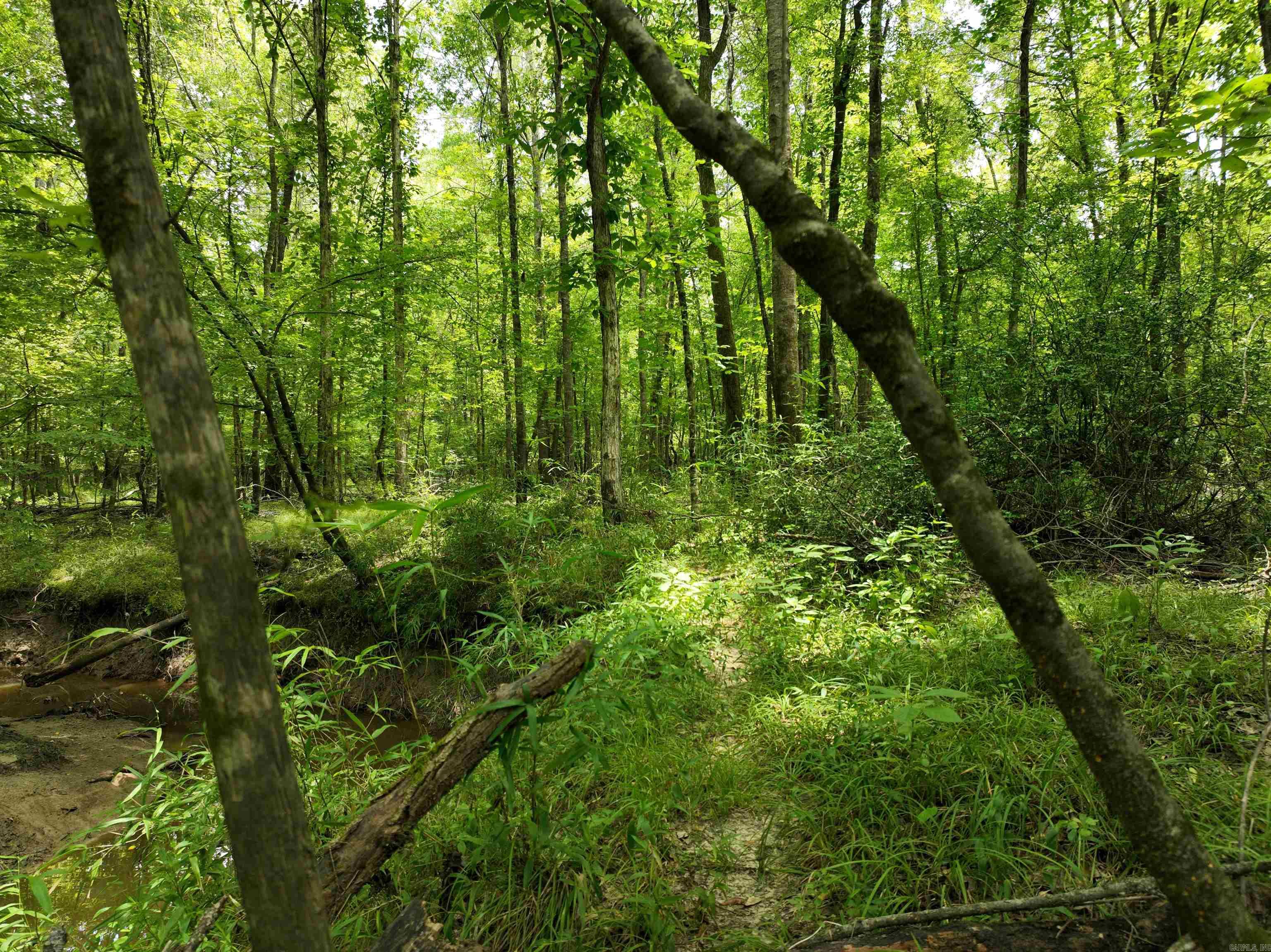 0000 53  Gurdon, AR