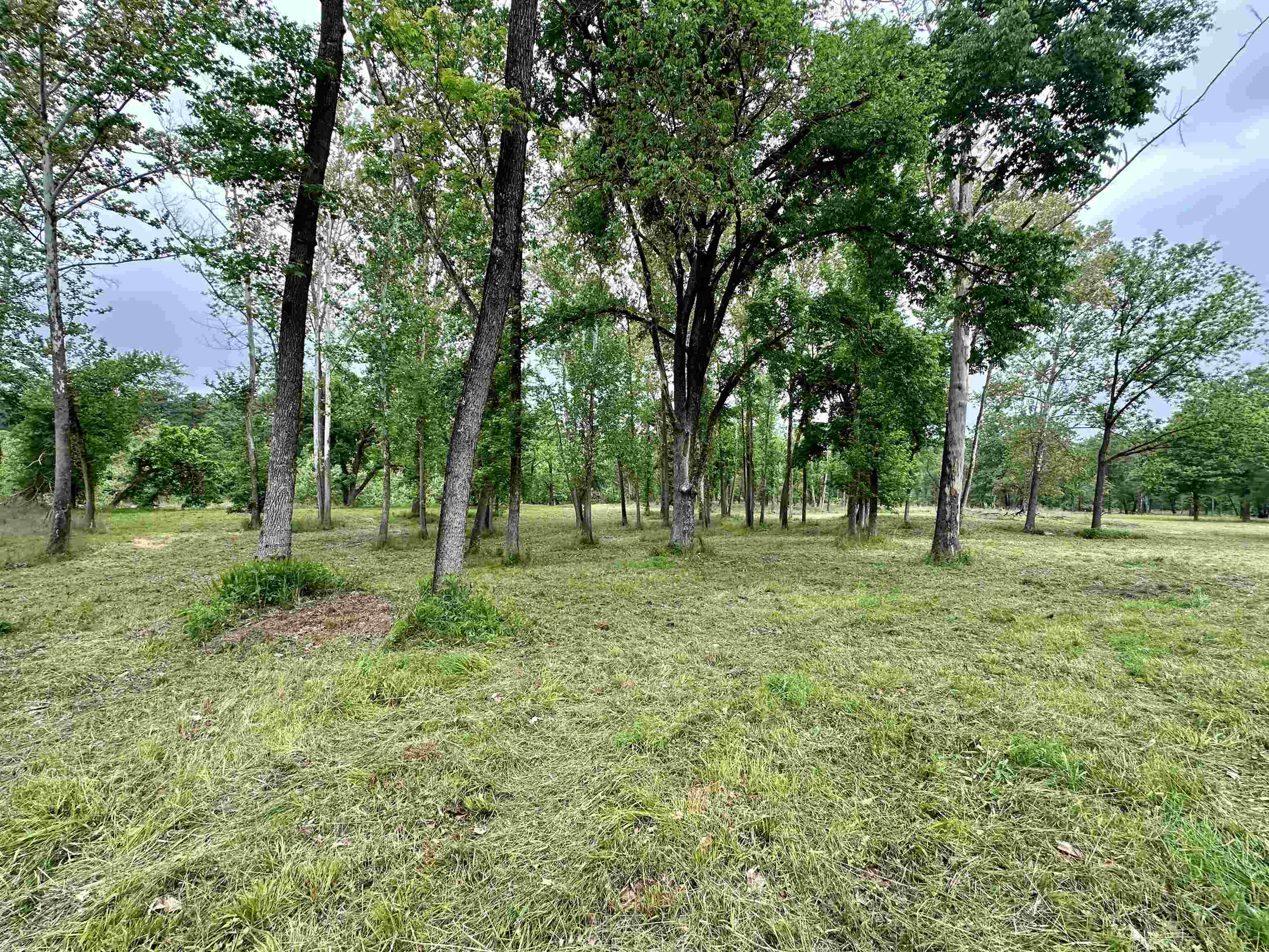 Lot 7 & 8 Apple Tree Lane  Melbourne, AR
