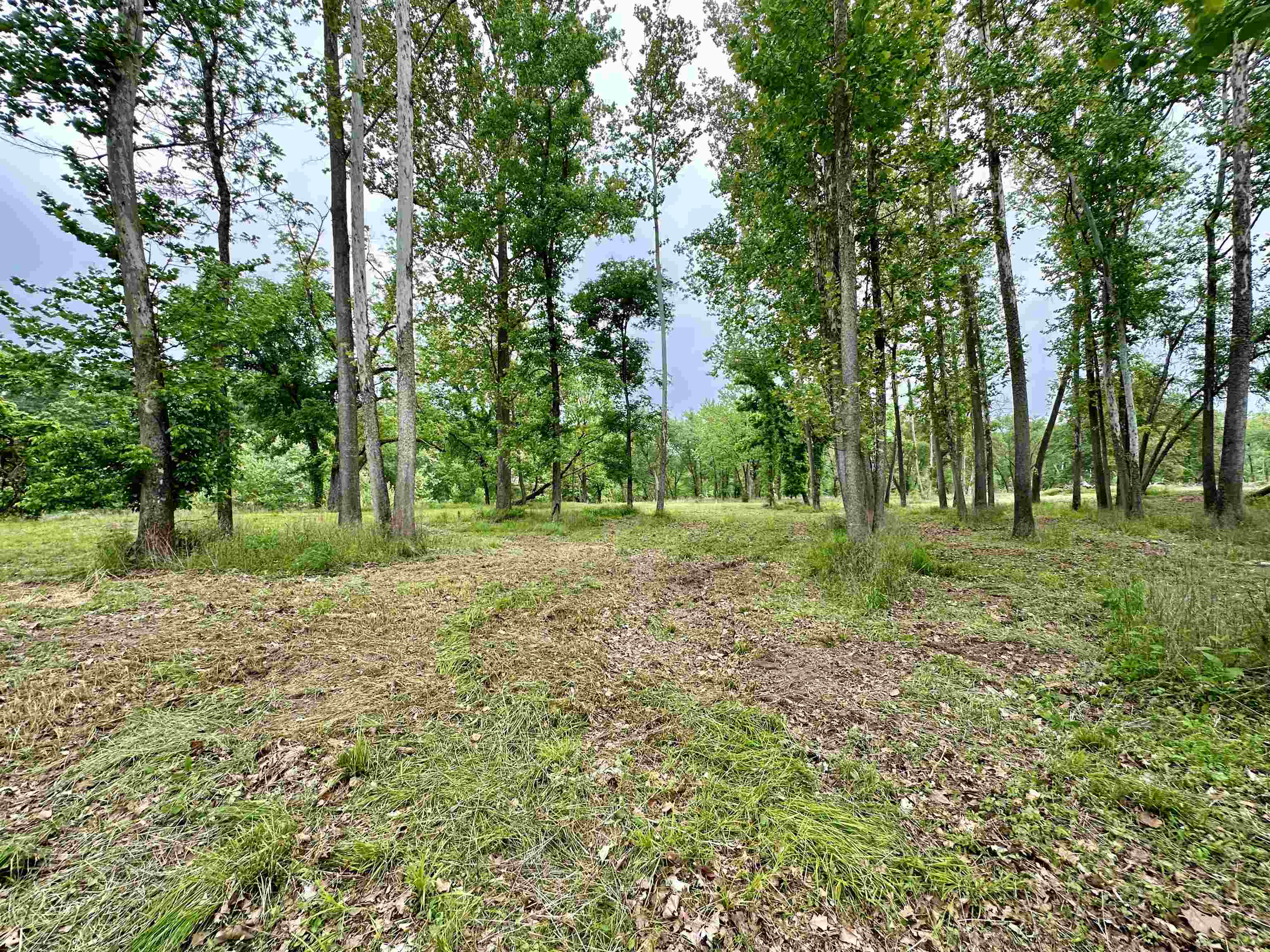 Lot 7 & 8 Apple Tree Lane  Melbourne, AR