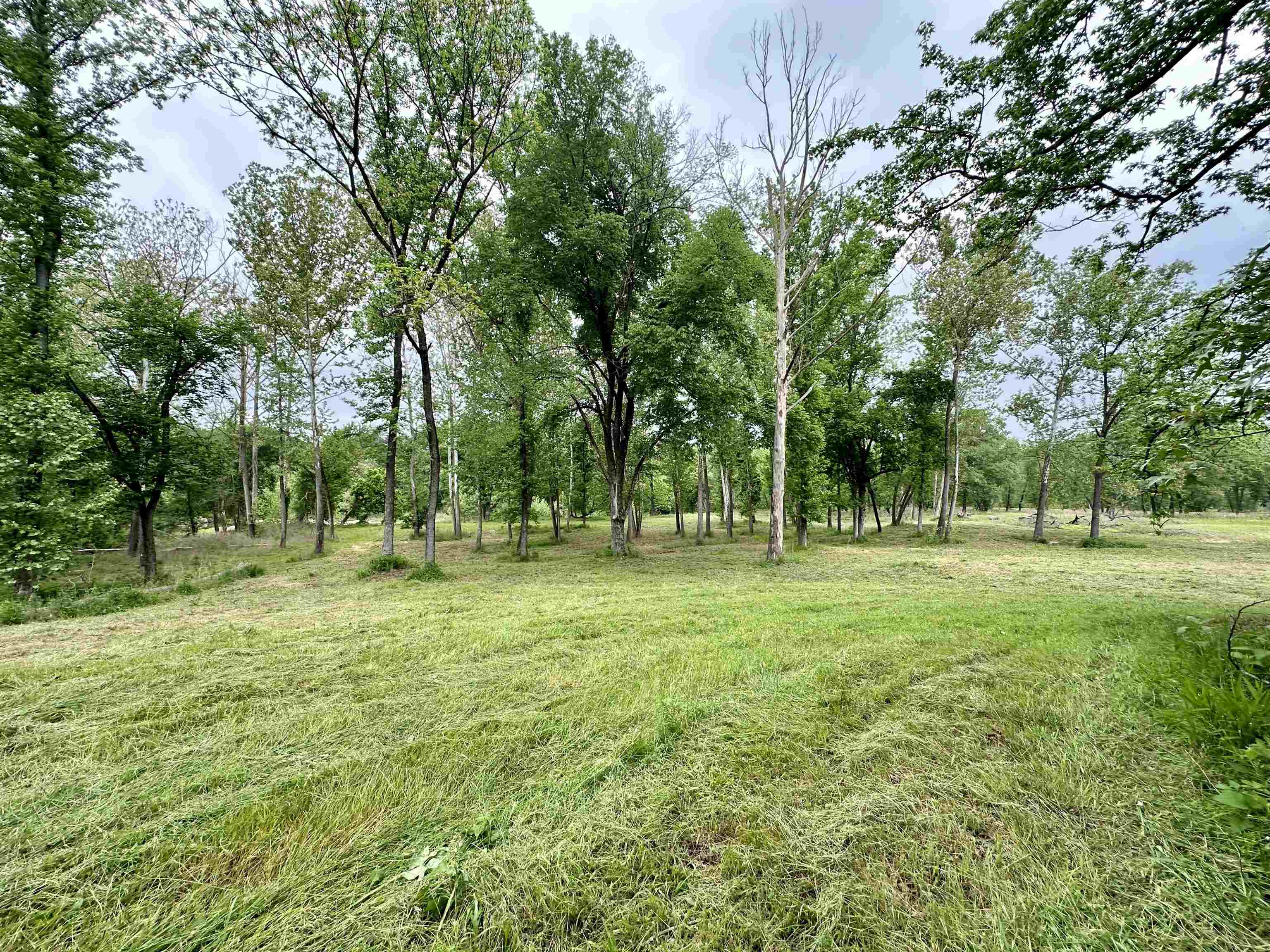 Lot 7 & 8 Apple Tree Lane  Melbourne, AR