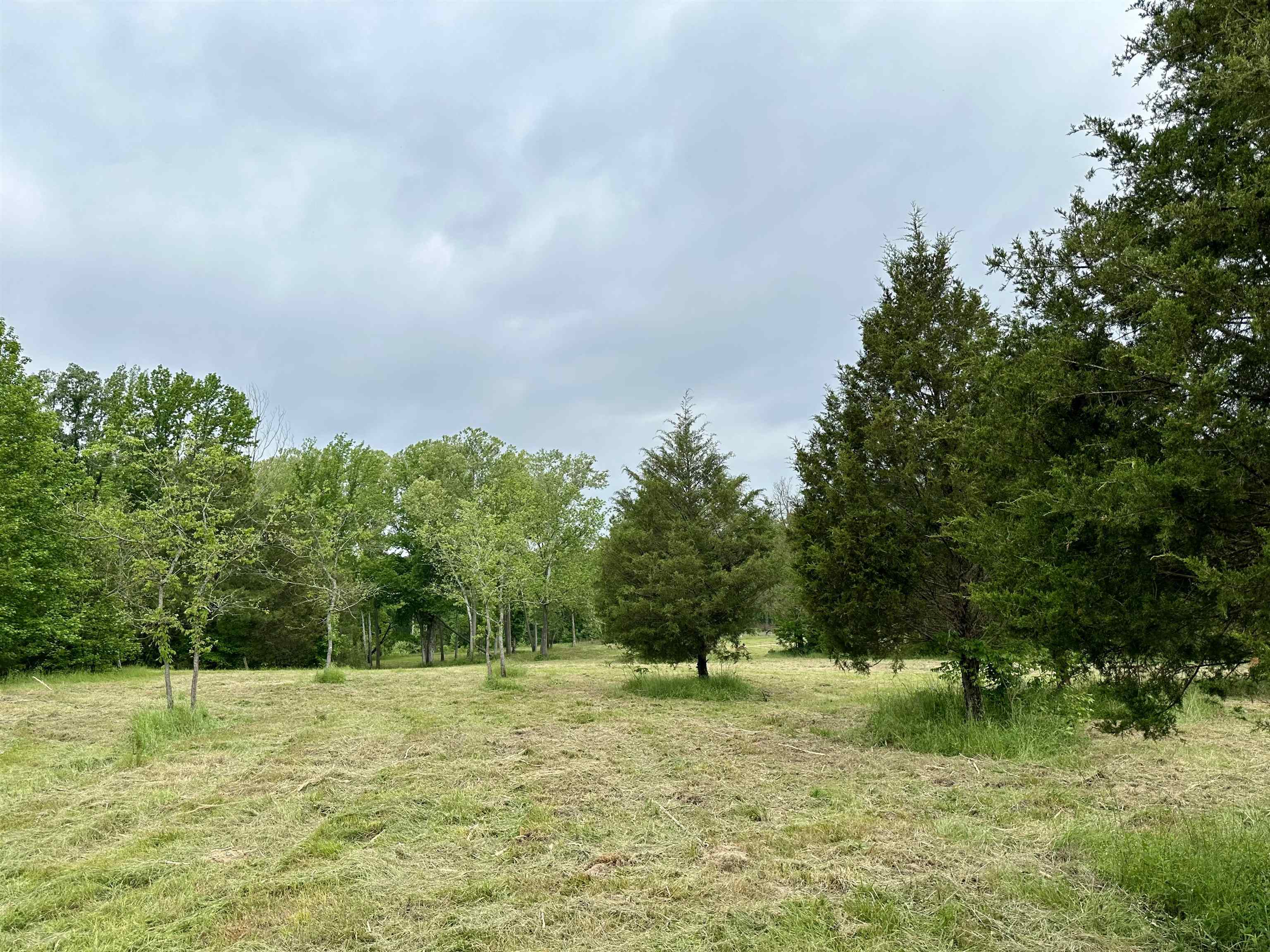 Lot 7 & 8 Apple Tree Lane  Melbourne, AR