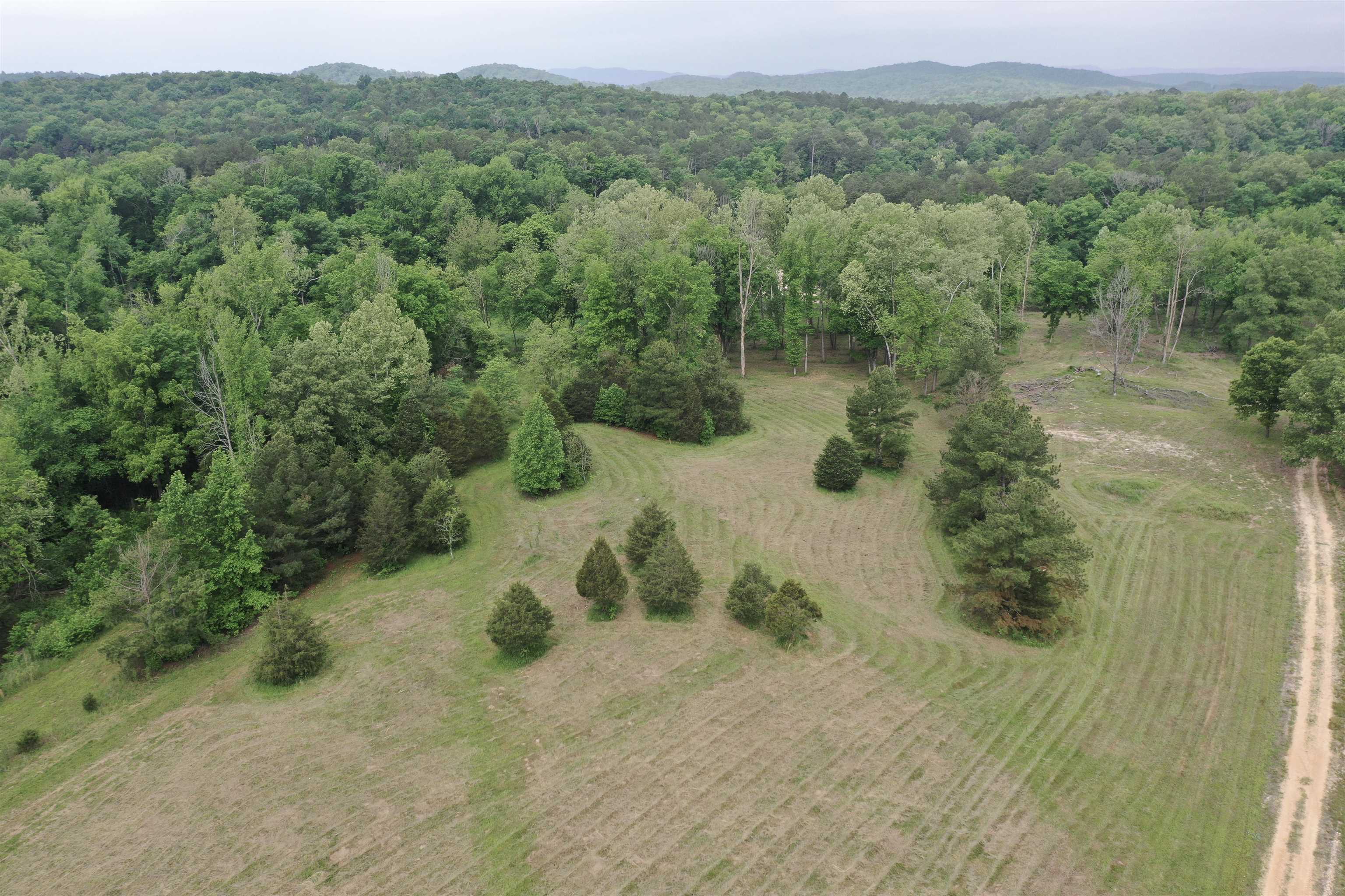 Lot 7 & 8 Apple Tree Lane  Melbourne, AR
