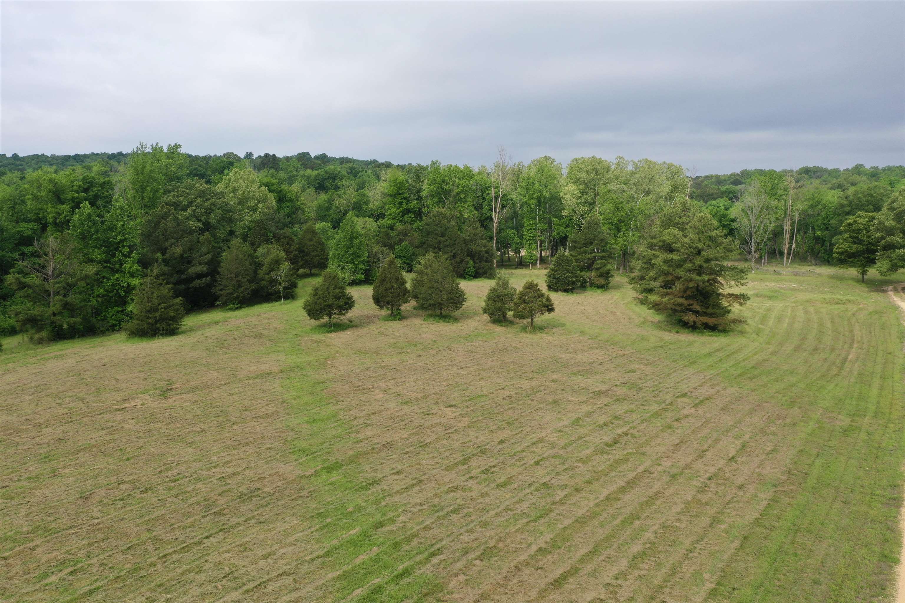 Lot 7 & 8 Apple Tree Lane  Melbourne, AR