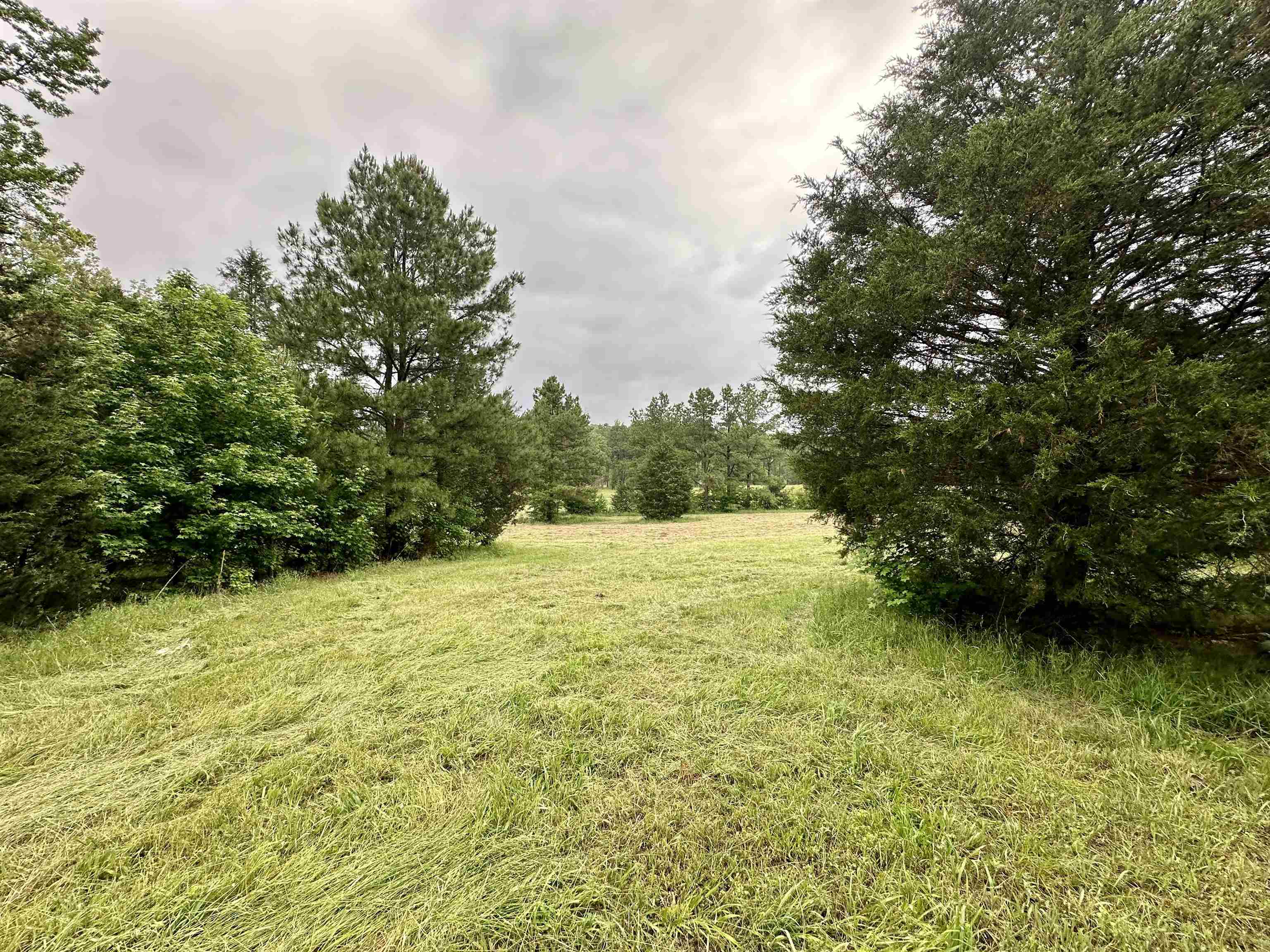 Lot 7 & 8 Apple Tree Lane  Melbourne, AR