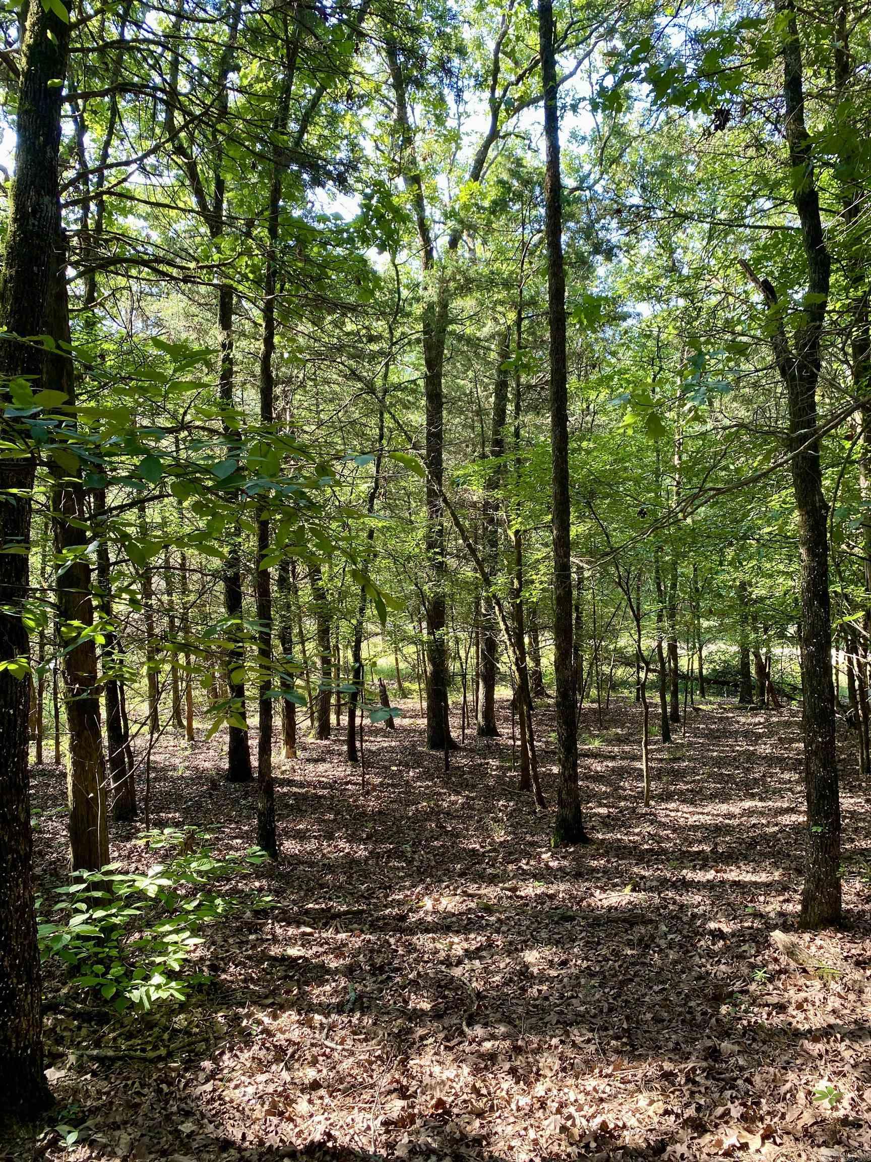 1 Acre +/- Off PR 3240 (LOT 11)  Clarksville, AR