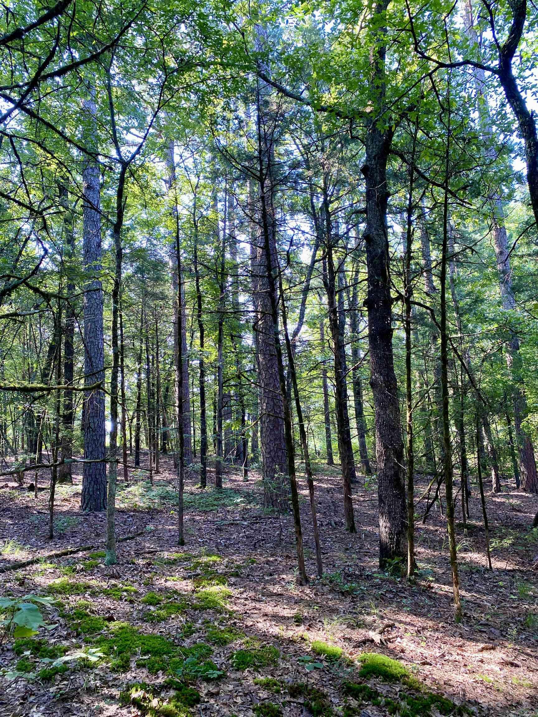 1 Acre +/- Off PR 3240 (LOT 11)  Clarksville, AR