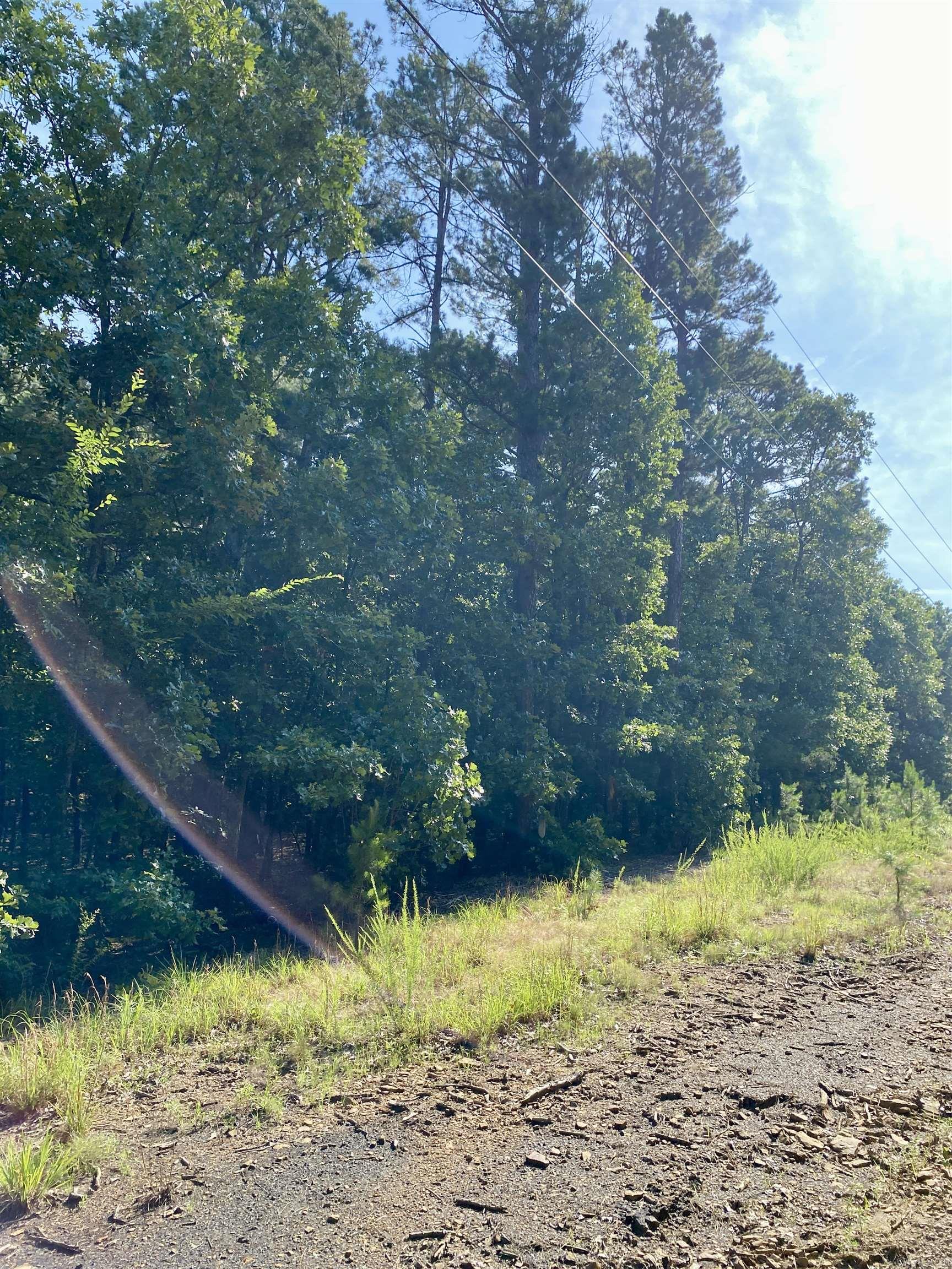 1 Acre +/- Off PR 3240 (LOT 11)  Clarksville, AR