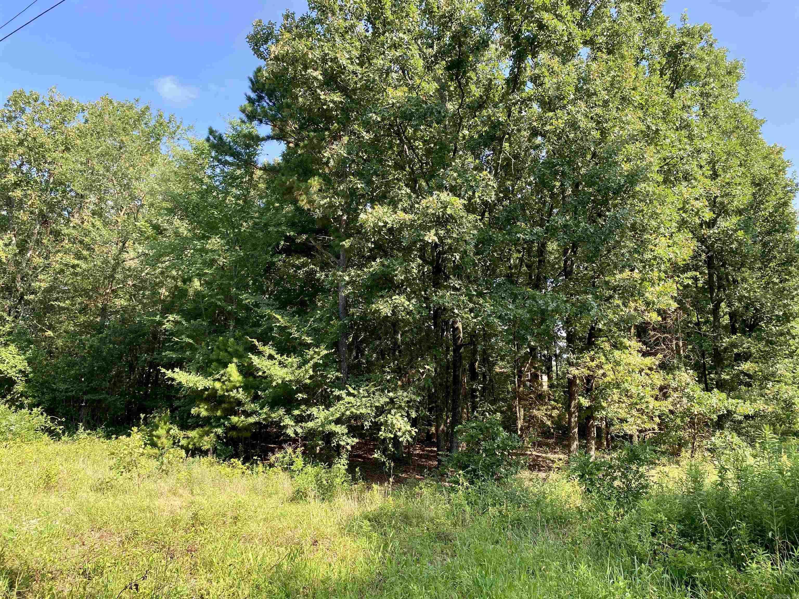 1 Acre +/- Off PR 3240 (LOT 11)  Clarksville, AR