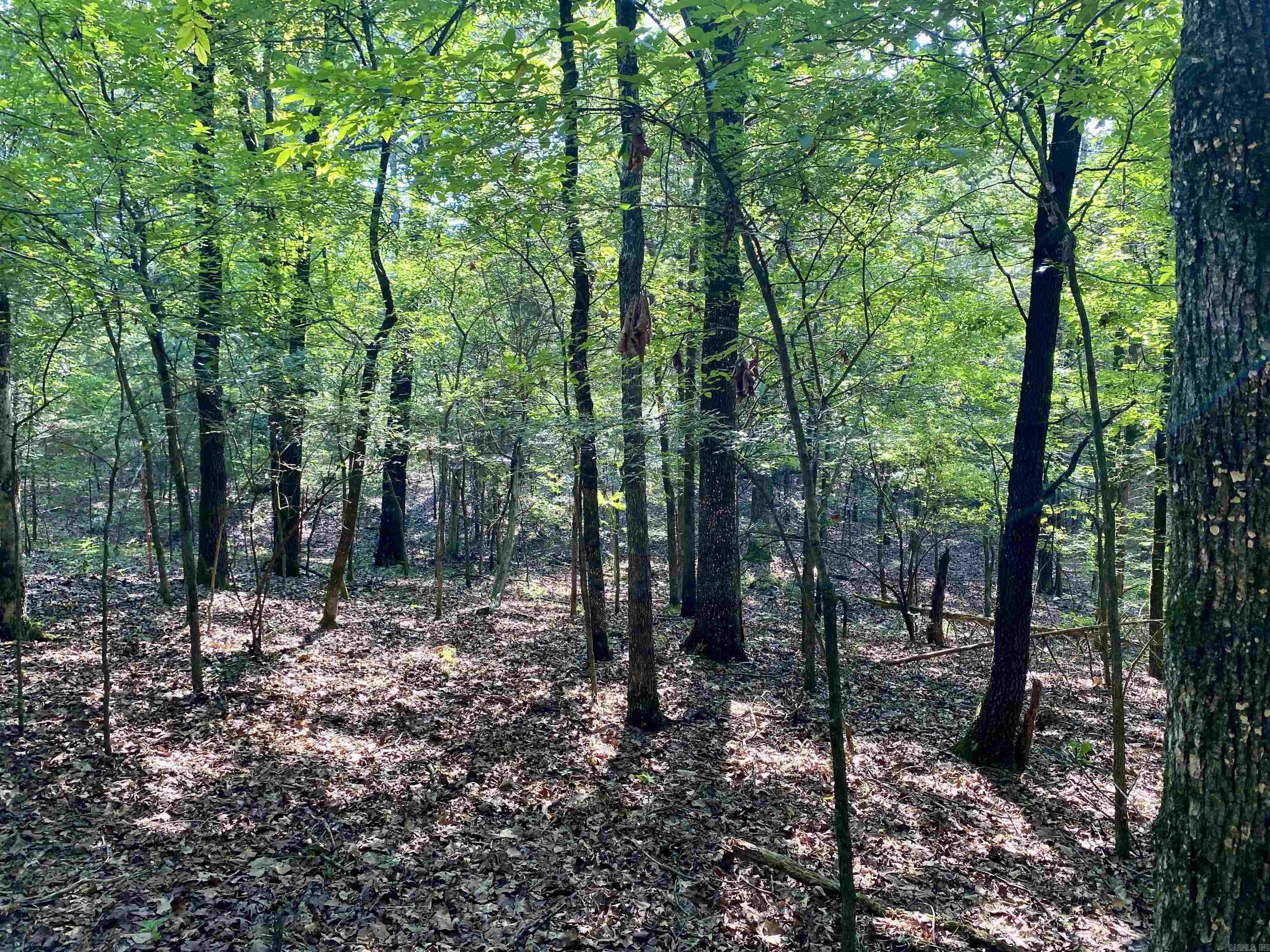 1 Acre +/- Off PR 3240 (LOT 12)  Clarksville, AR