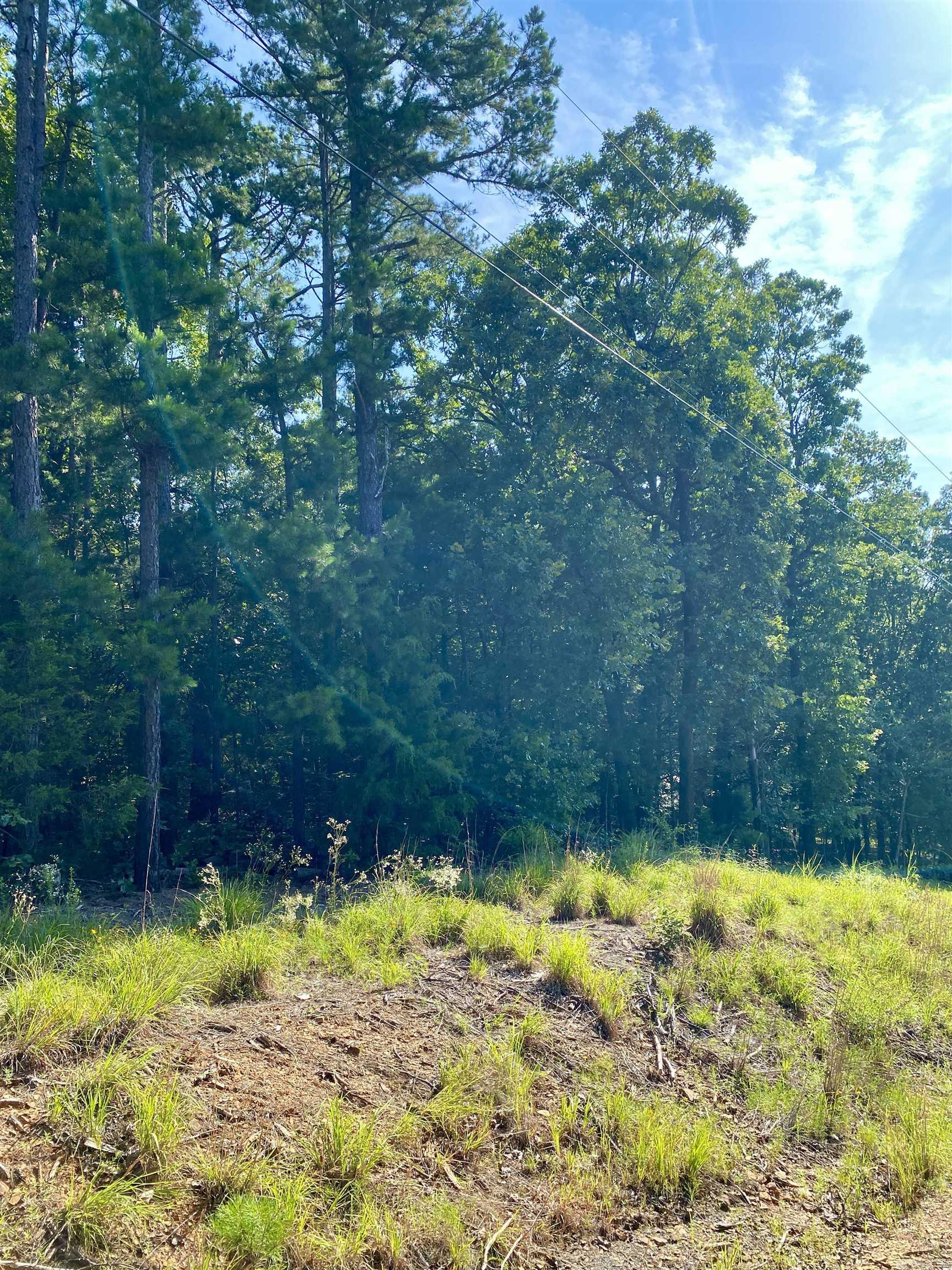 1 Acre +/- Off PR 3240 (LOT 12)  Clarksville, AR