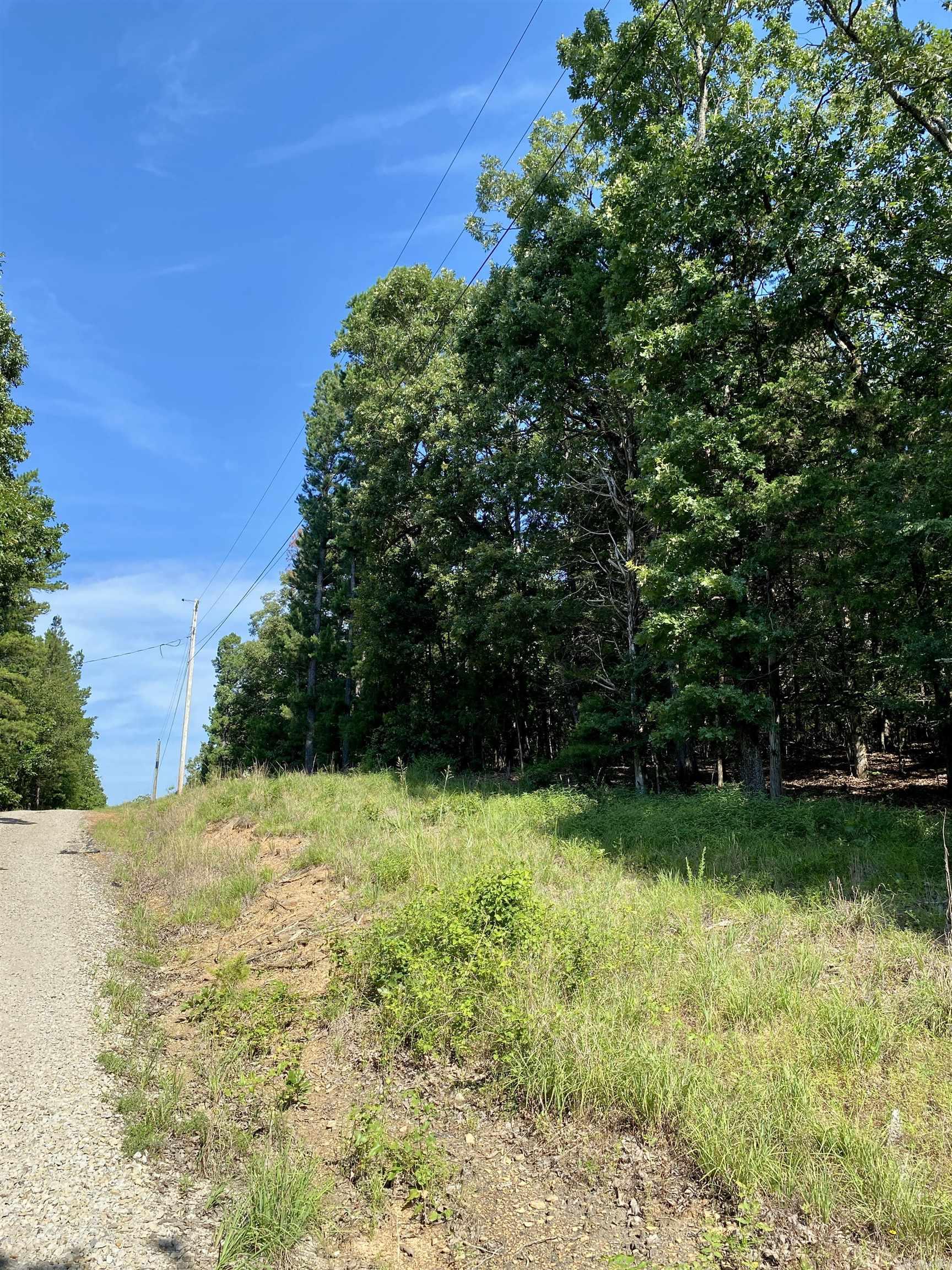 1 Acre +/- Off PR 3240 (LOT 12)  Clarksville, AR