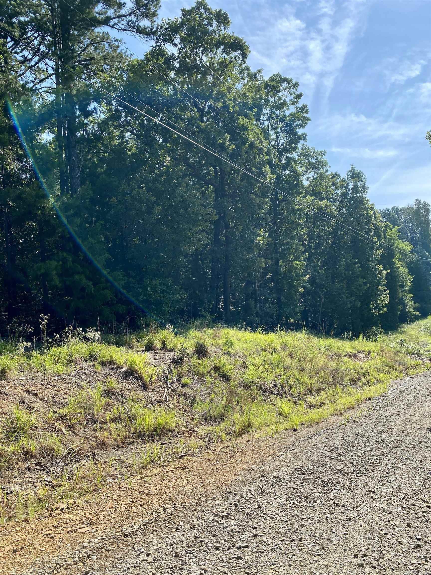 1 Acre +/- Off PR 3240 (LOT 12)  Clarksville, AR