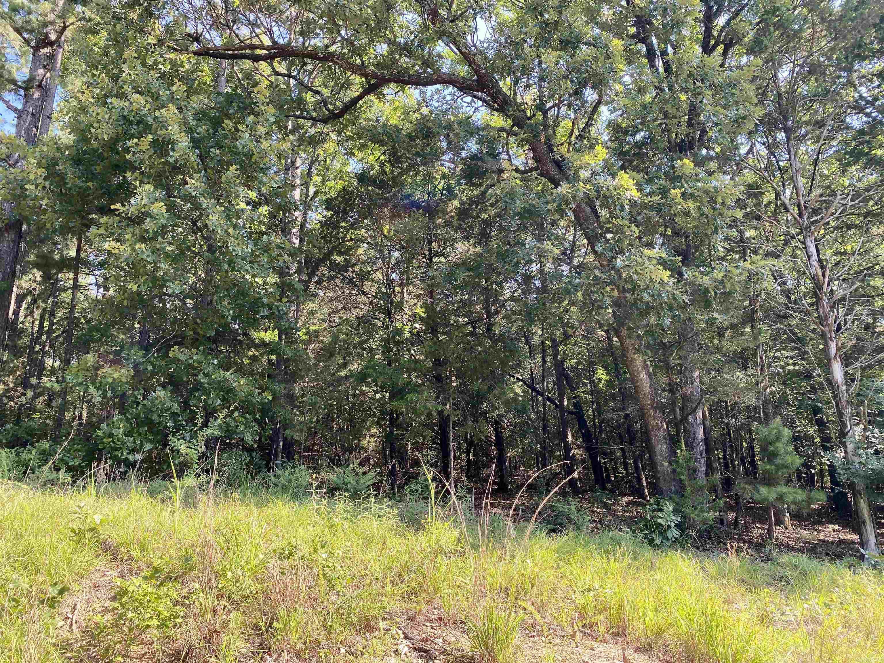 1 Acre +/- Off PR 3240 (LOT 12)  Clarksville, AR