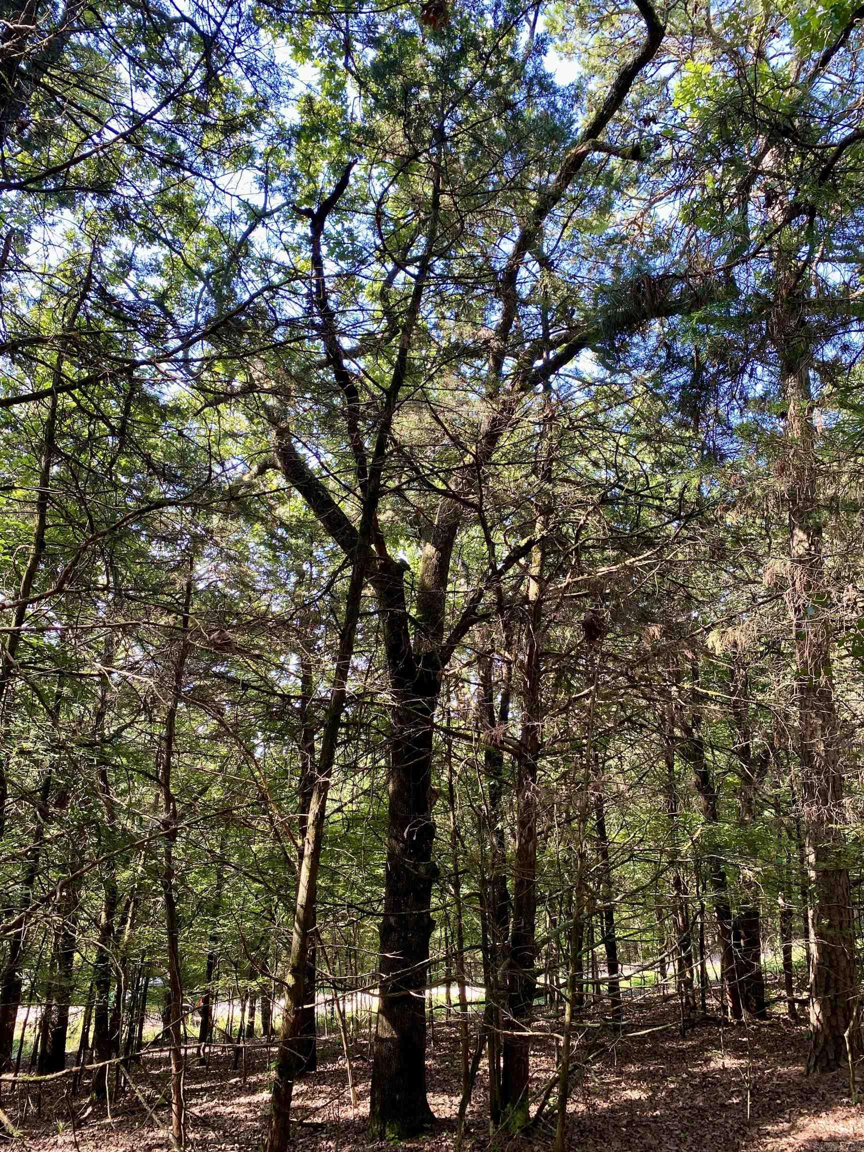 1 Acre +/- Off PR 3240 (LOT 12)  Clarksville, AR