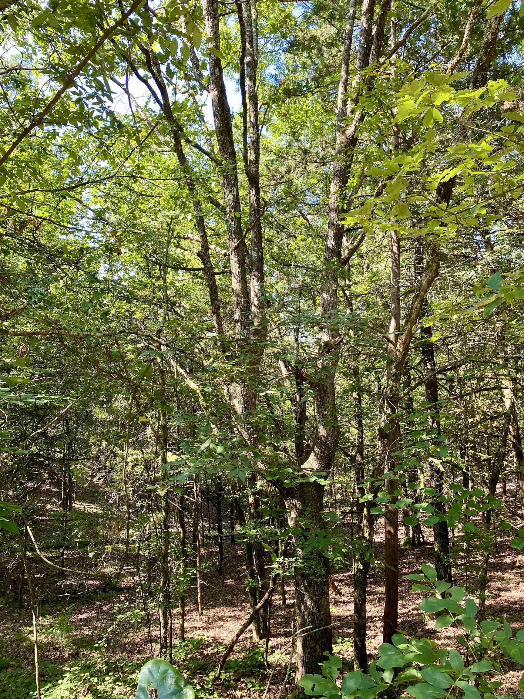1 Acre +/- Off PR 3240 (LOT 12)  Clarksville, AR