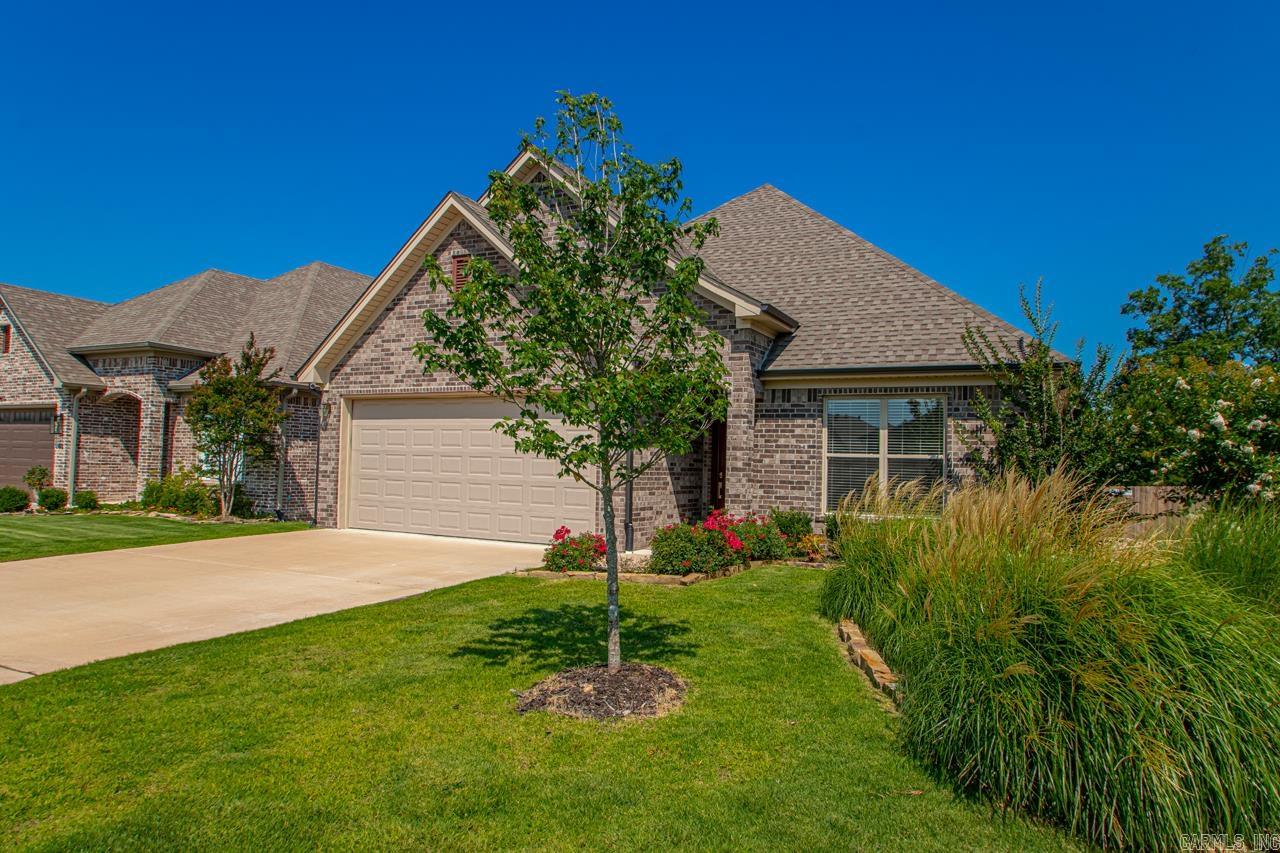 49 Saffron  Little Rock, AR