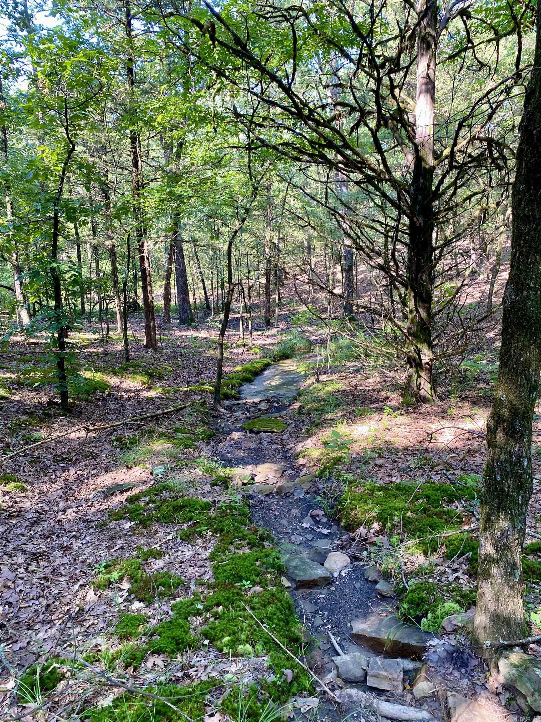 1 Acre +/- Off PR 3240 (LOT 19)  Clarksville, AR