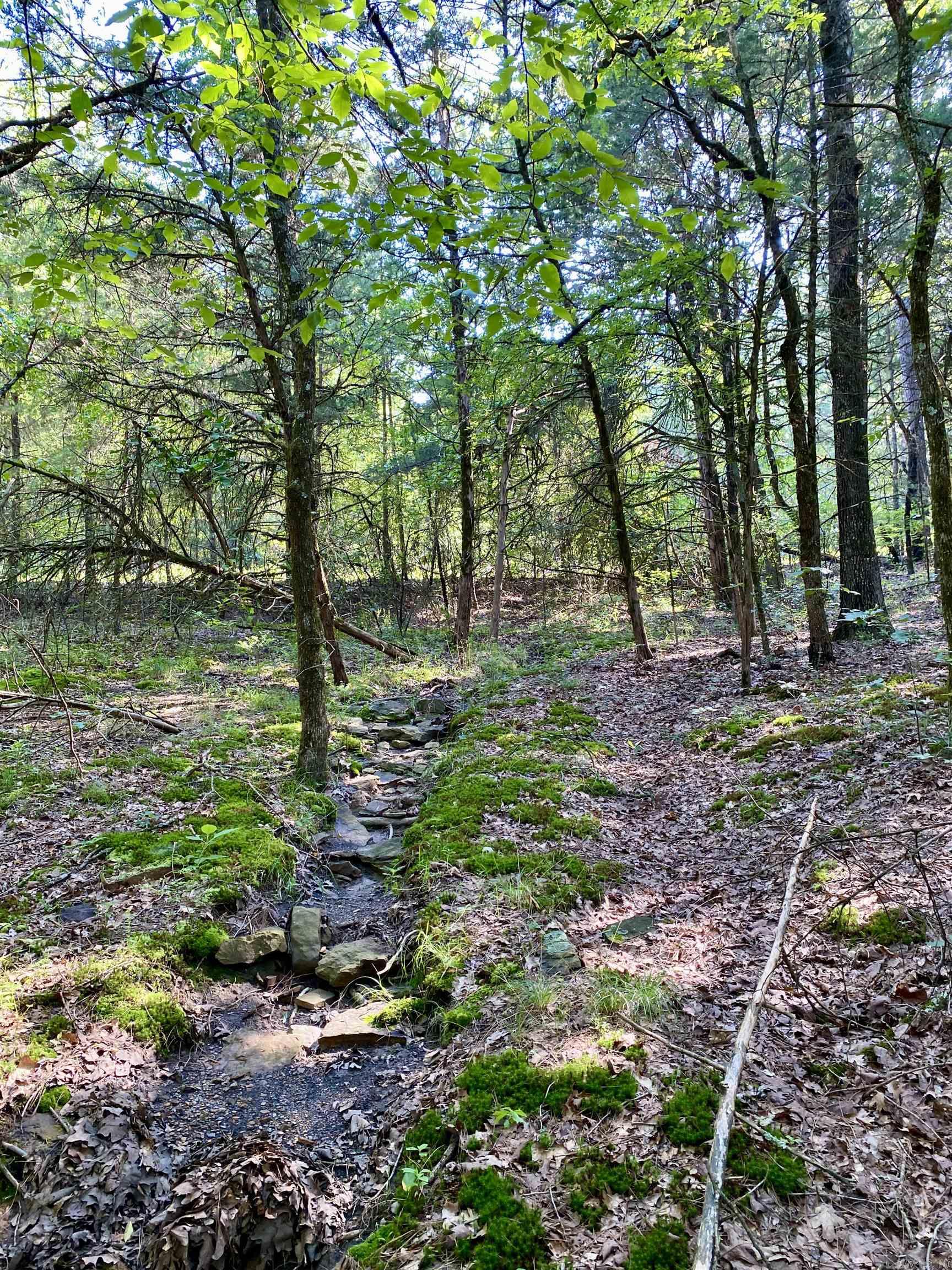1 Acre +/- Off PR 3240 (LOT 19)  Clarksville, AR