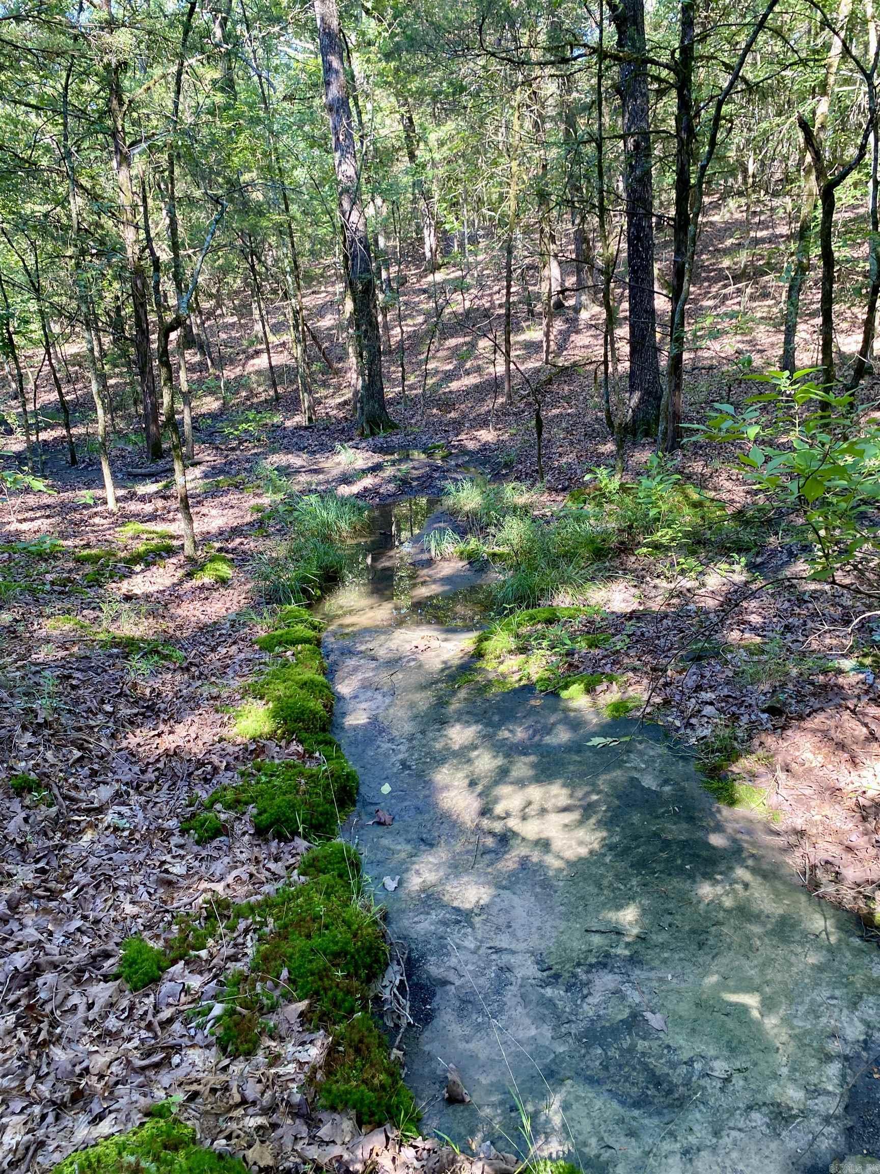 1 Acre +/- Off PR 3240 (LOT 19)  Clarksville, AR