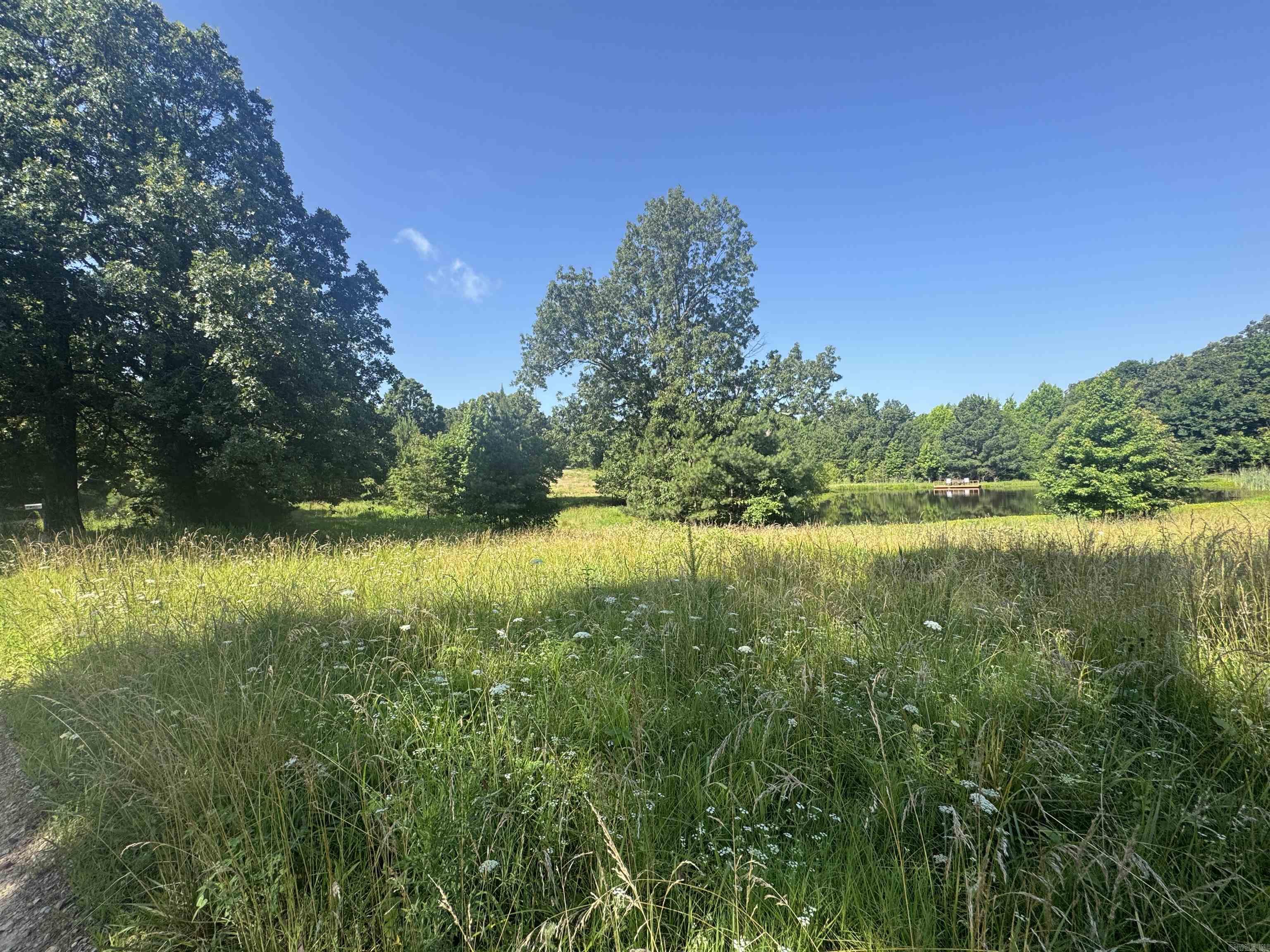 219 CR 472  Piggott, AR
