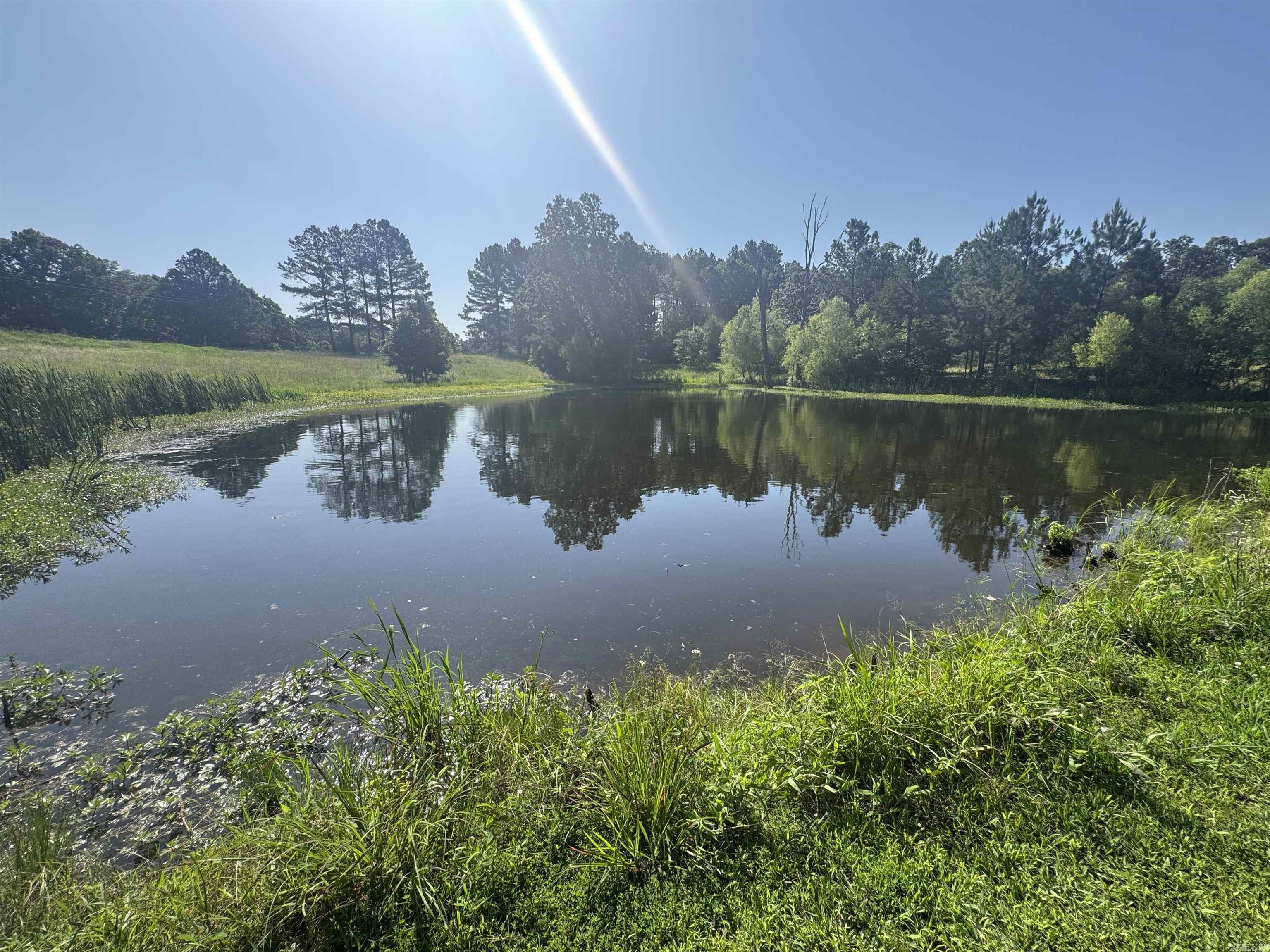219 CR 472  Piggott, AR