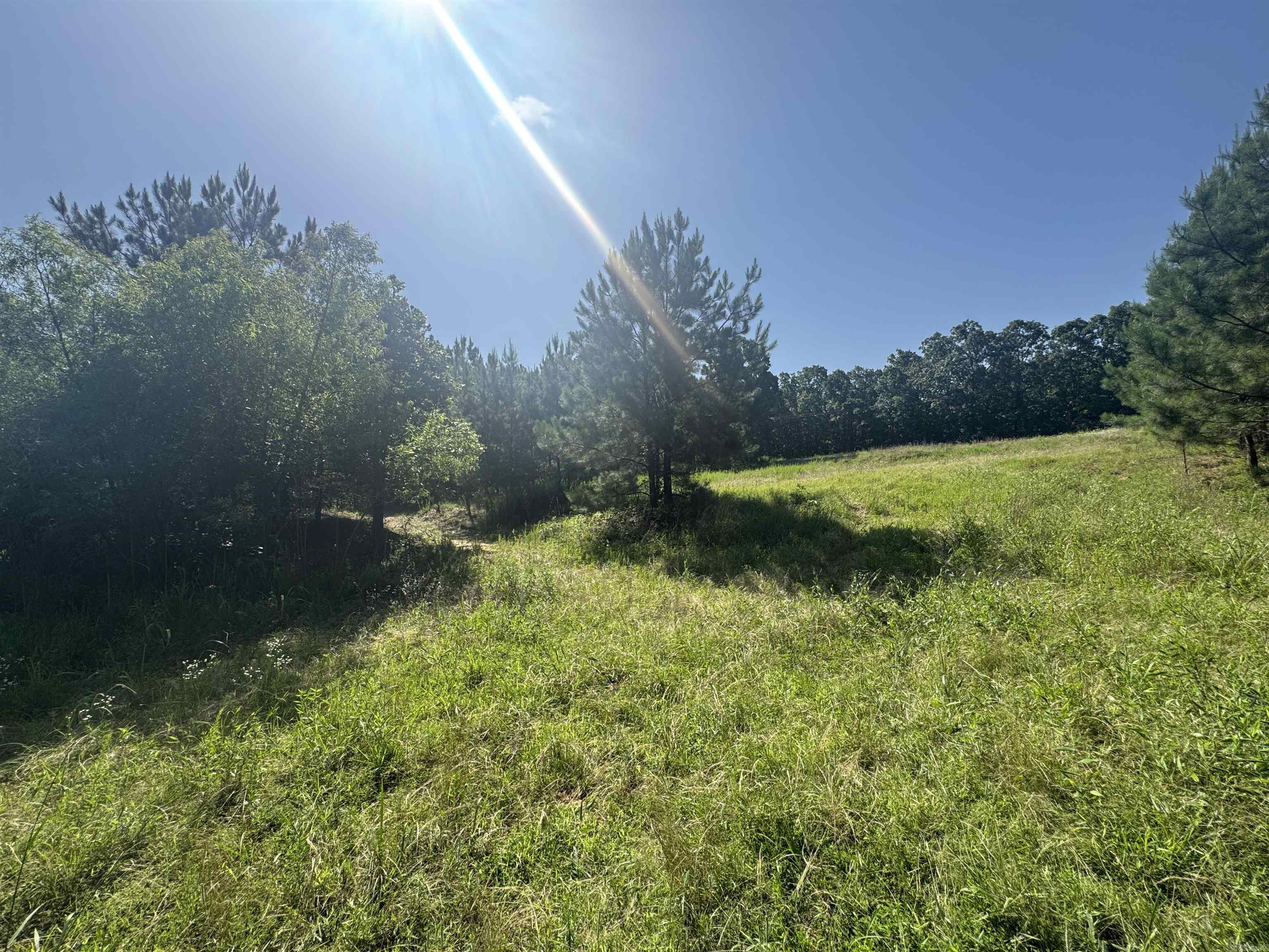 219 CR 472  Piggott, AR