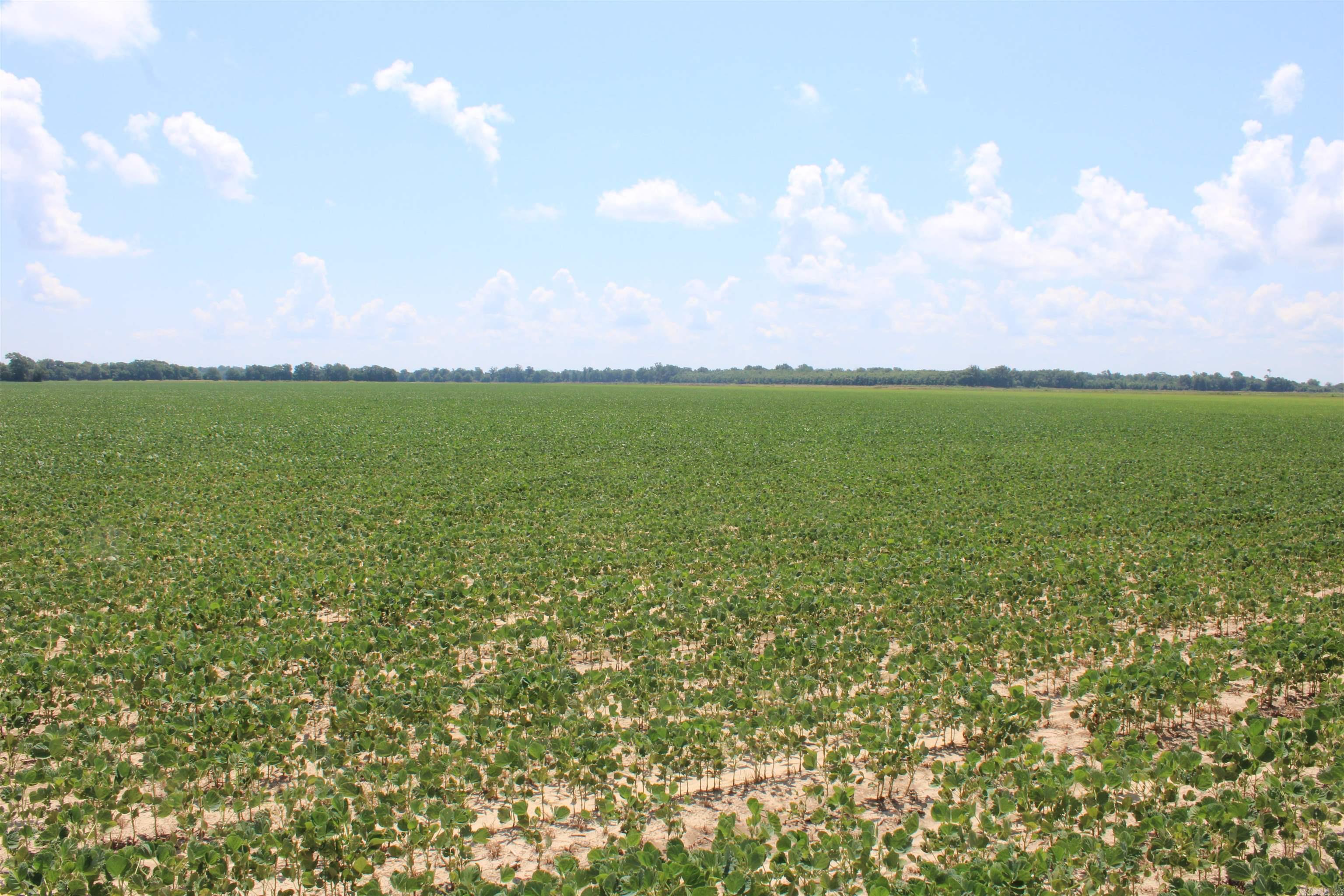 000 Phillips County 470  Marvell, AR