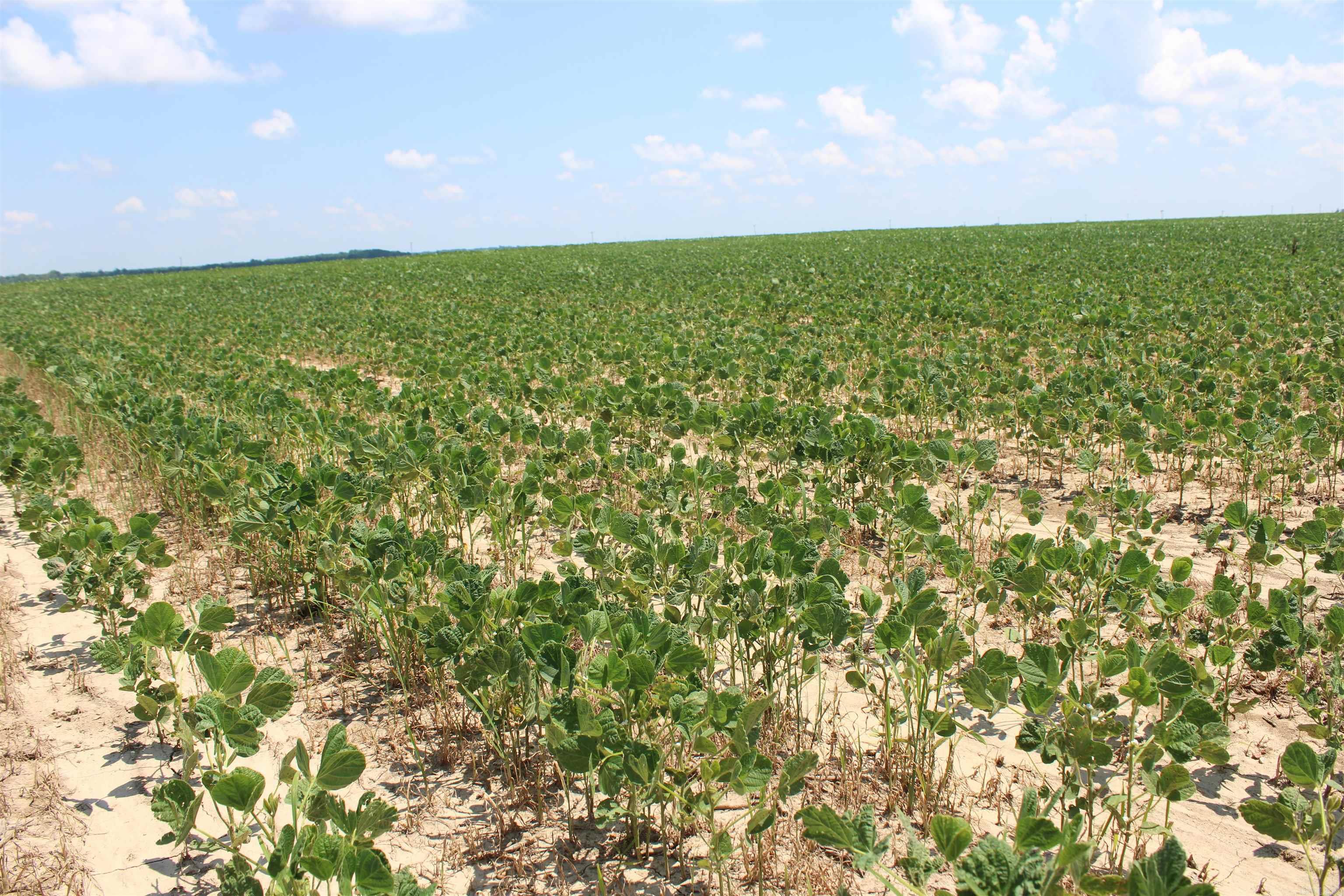 000 Phillips County 470  Marvell, AR