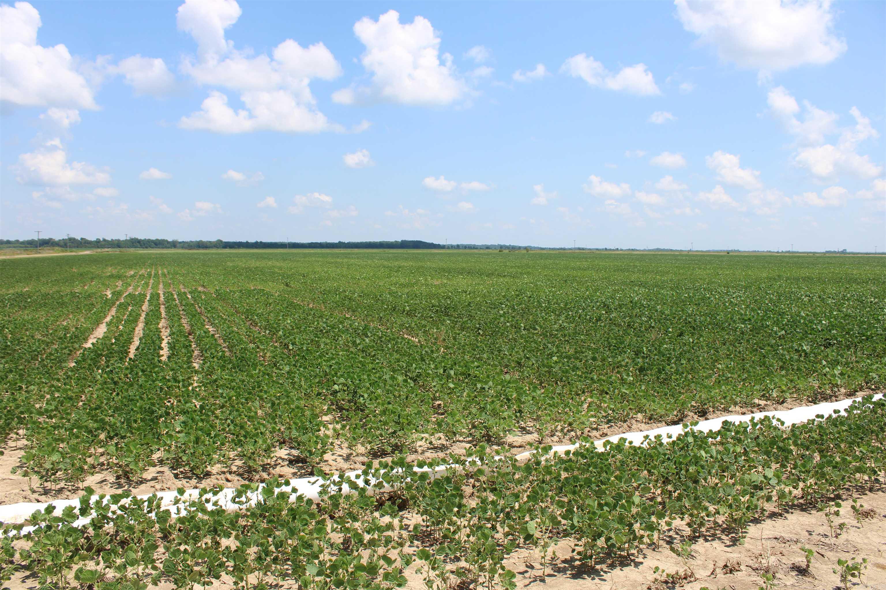 000 Phillips County 470  Marvell, AR