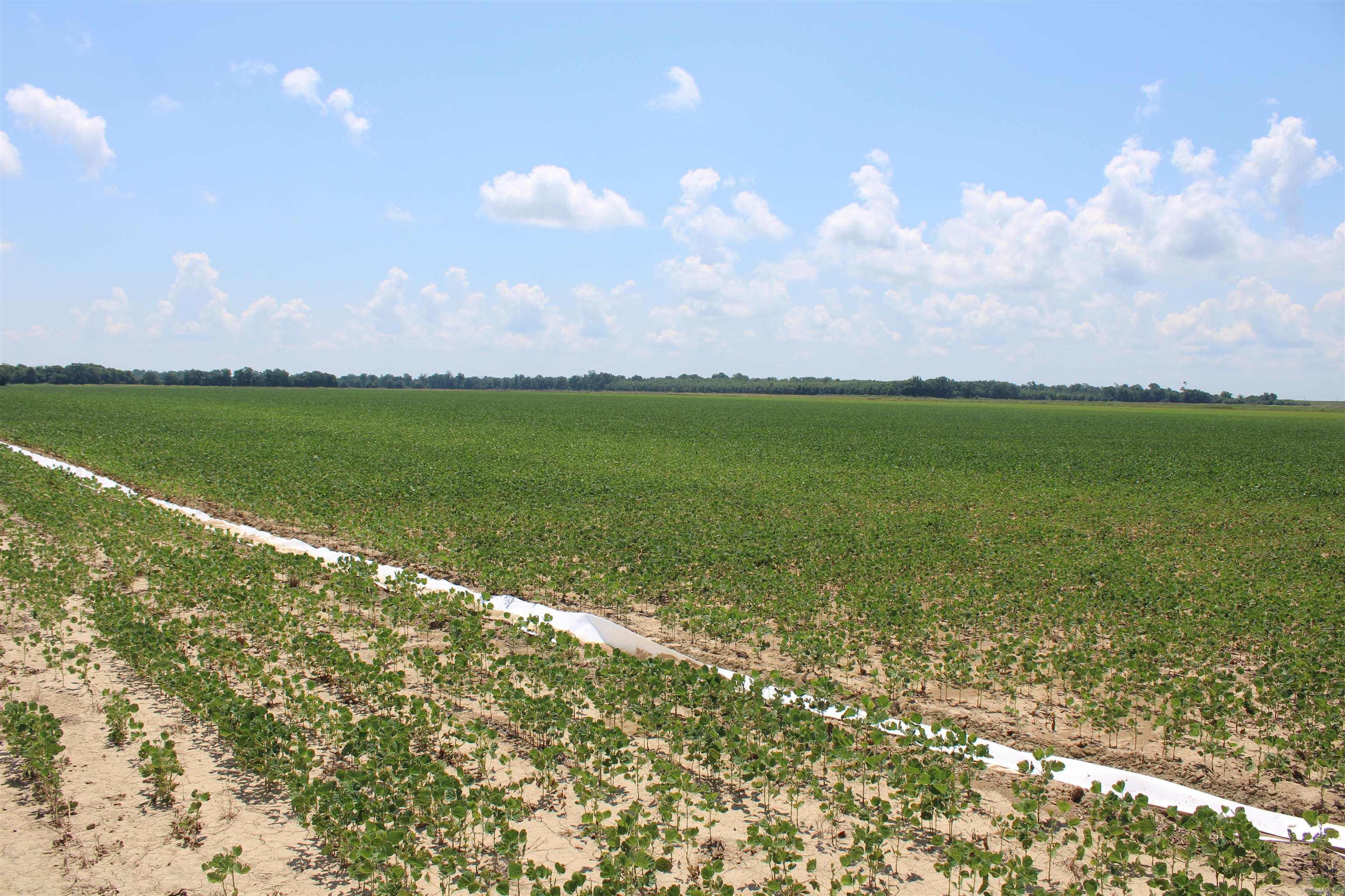 000 Phillips County 470  Marvell, AR