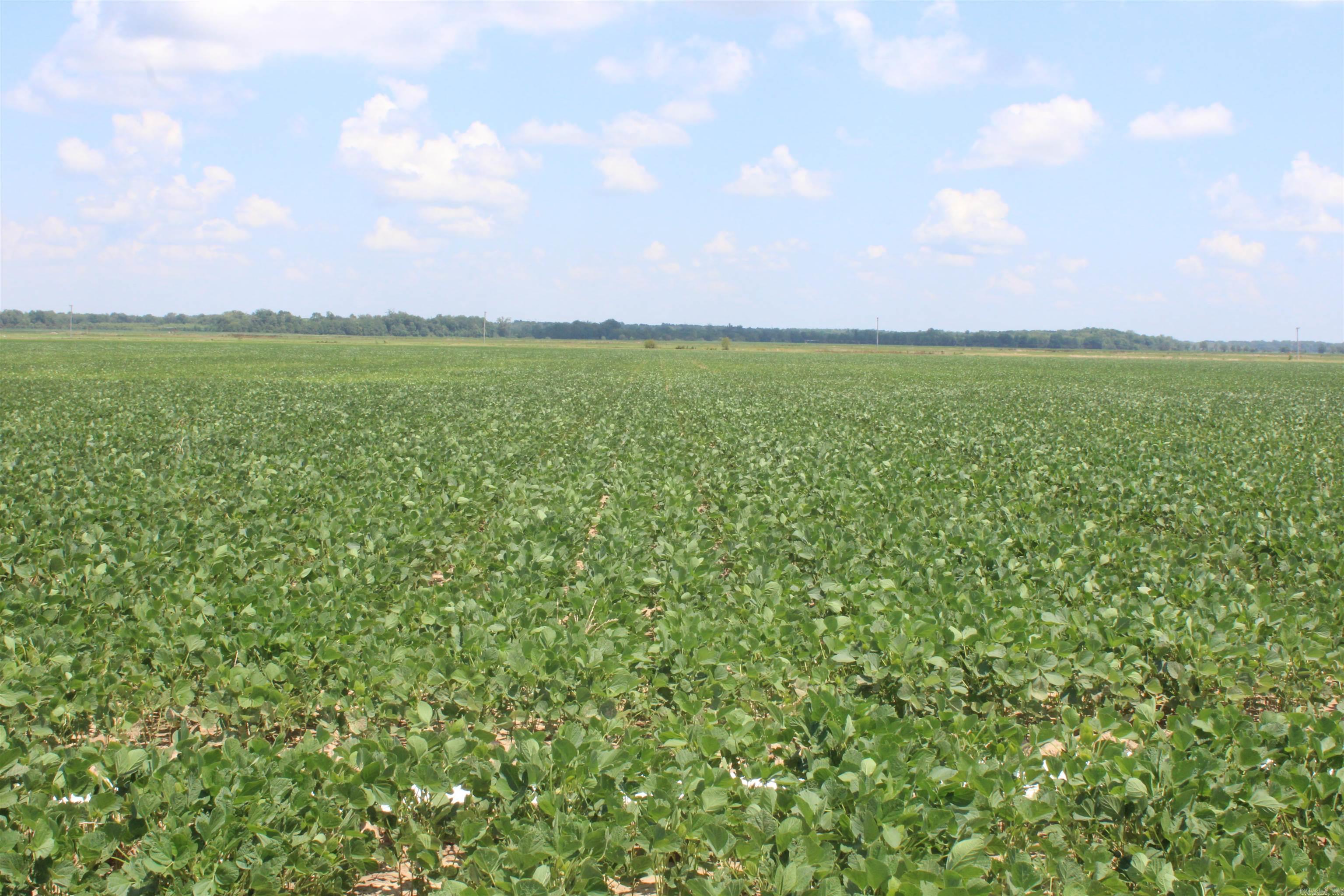 000 Phillips County 470  Marvell, AR