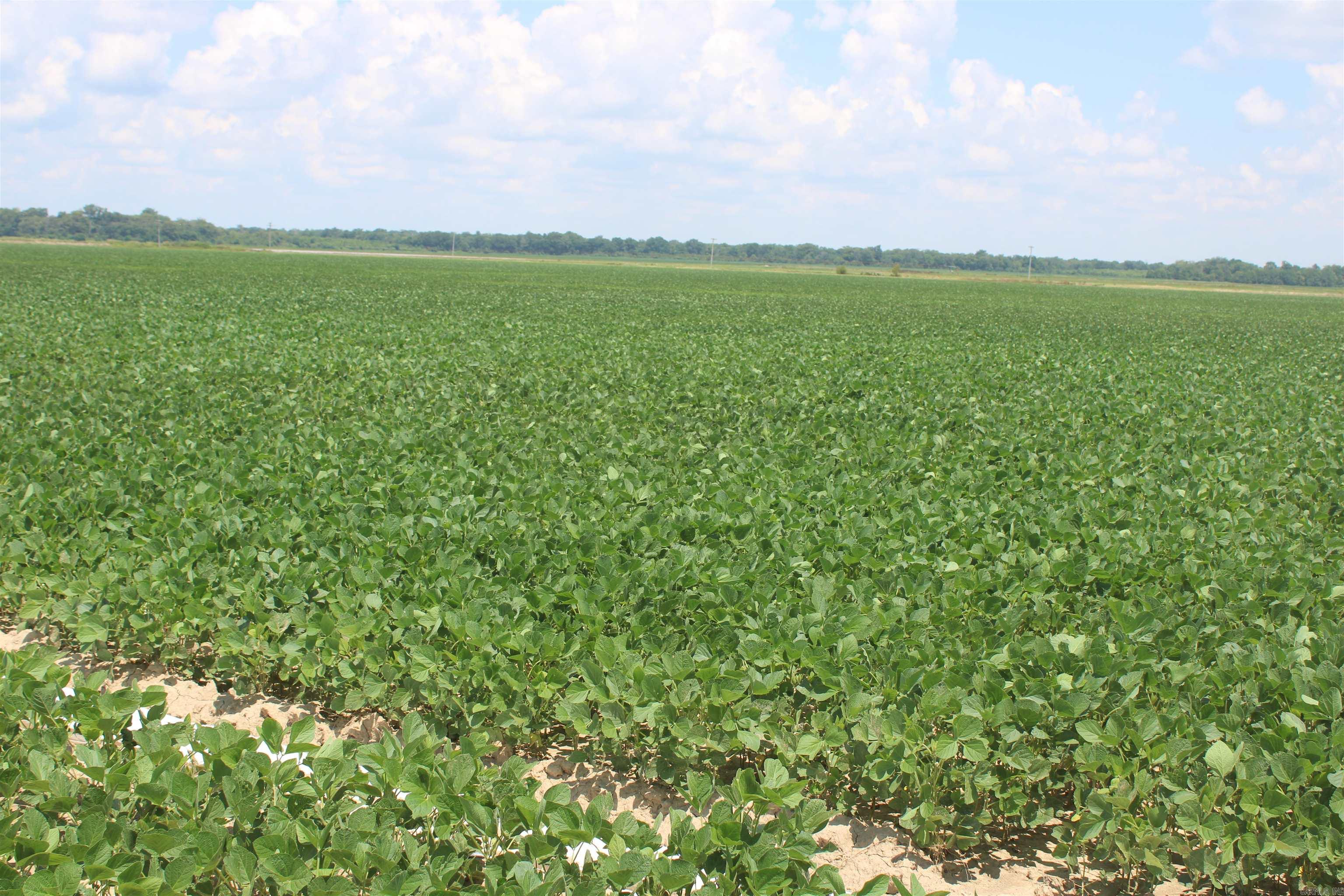 000 Phillips County 470  Marvell, AR