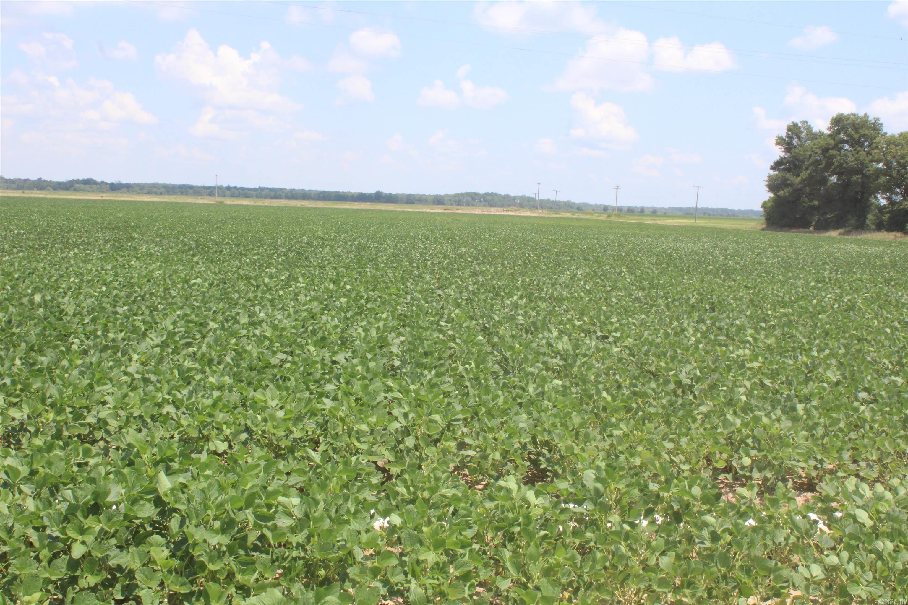 000 Phillips County 470  Marvell, AR
