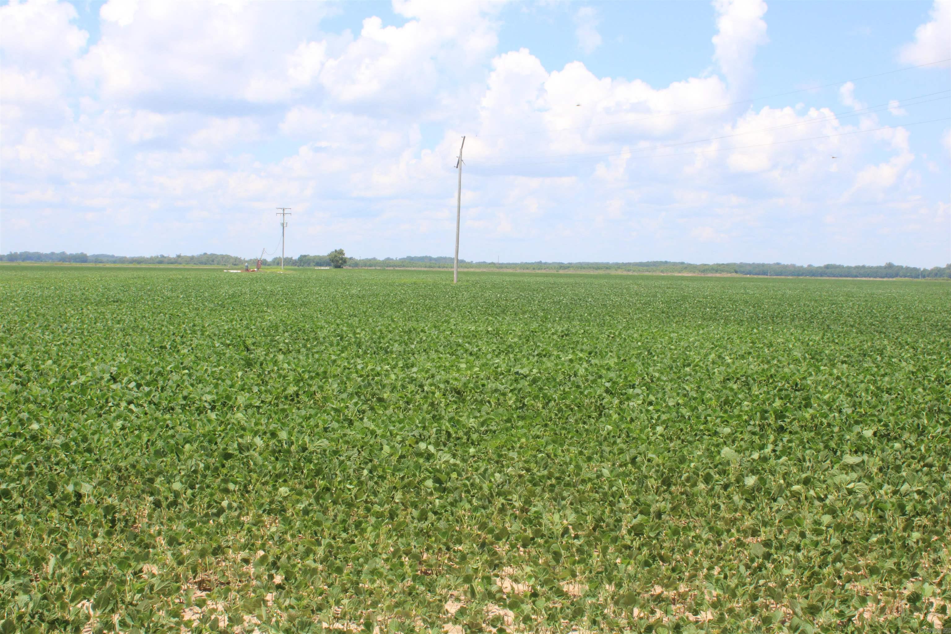 000 Phillips County 470  Marvell, AR