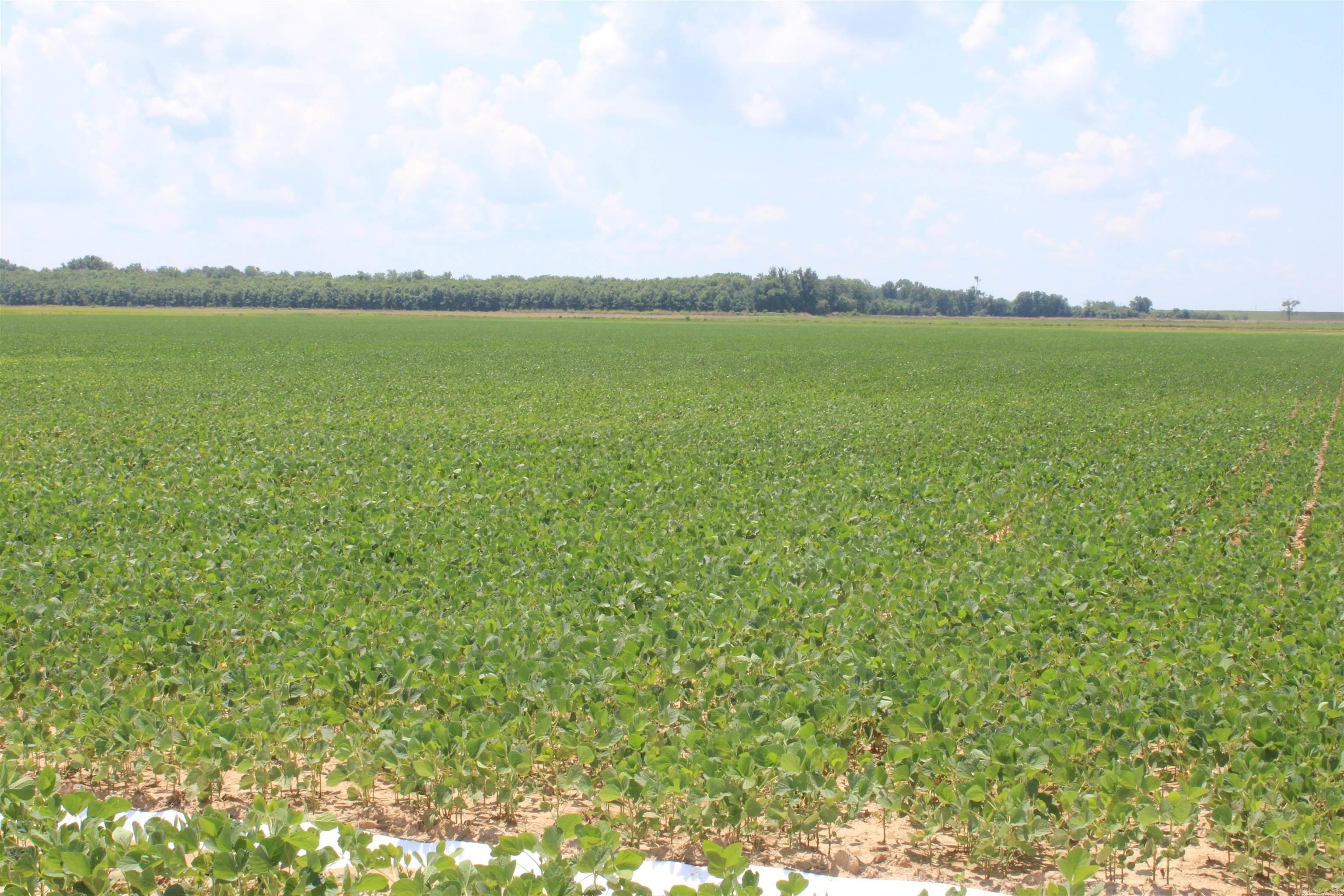 000 Phillips County 470  Marvell, AR