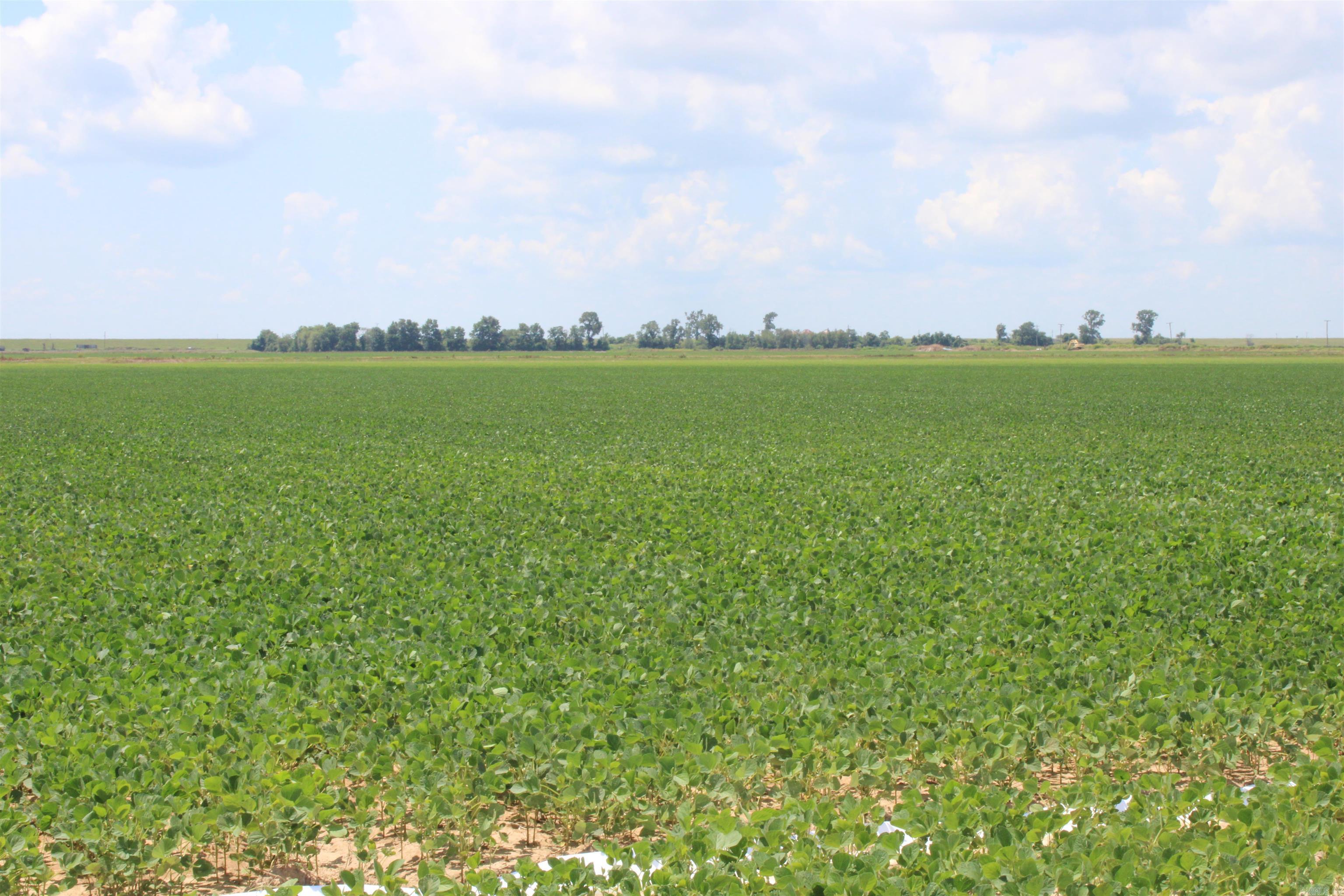 000 Phillips County 470  Marvell, AR
