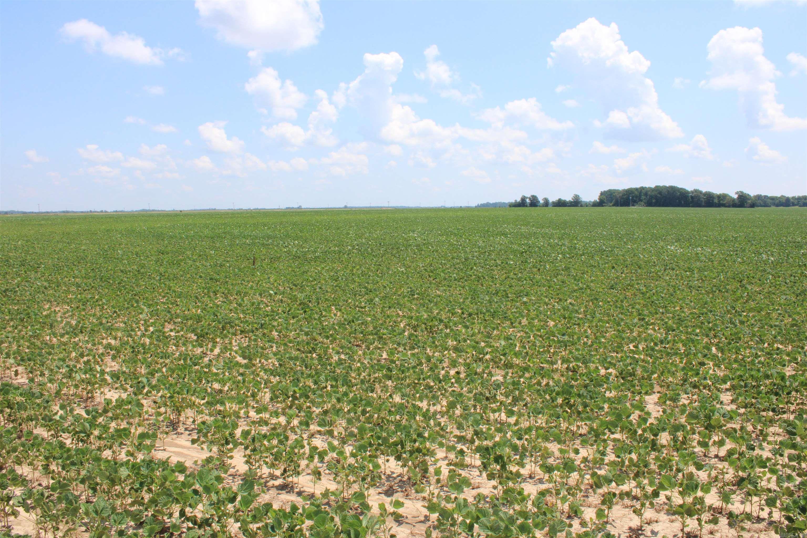 000 Phillips County 470  Marvell, AR