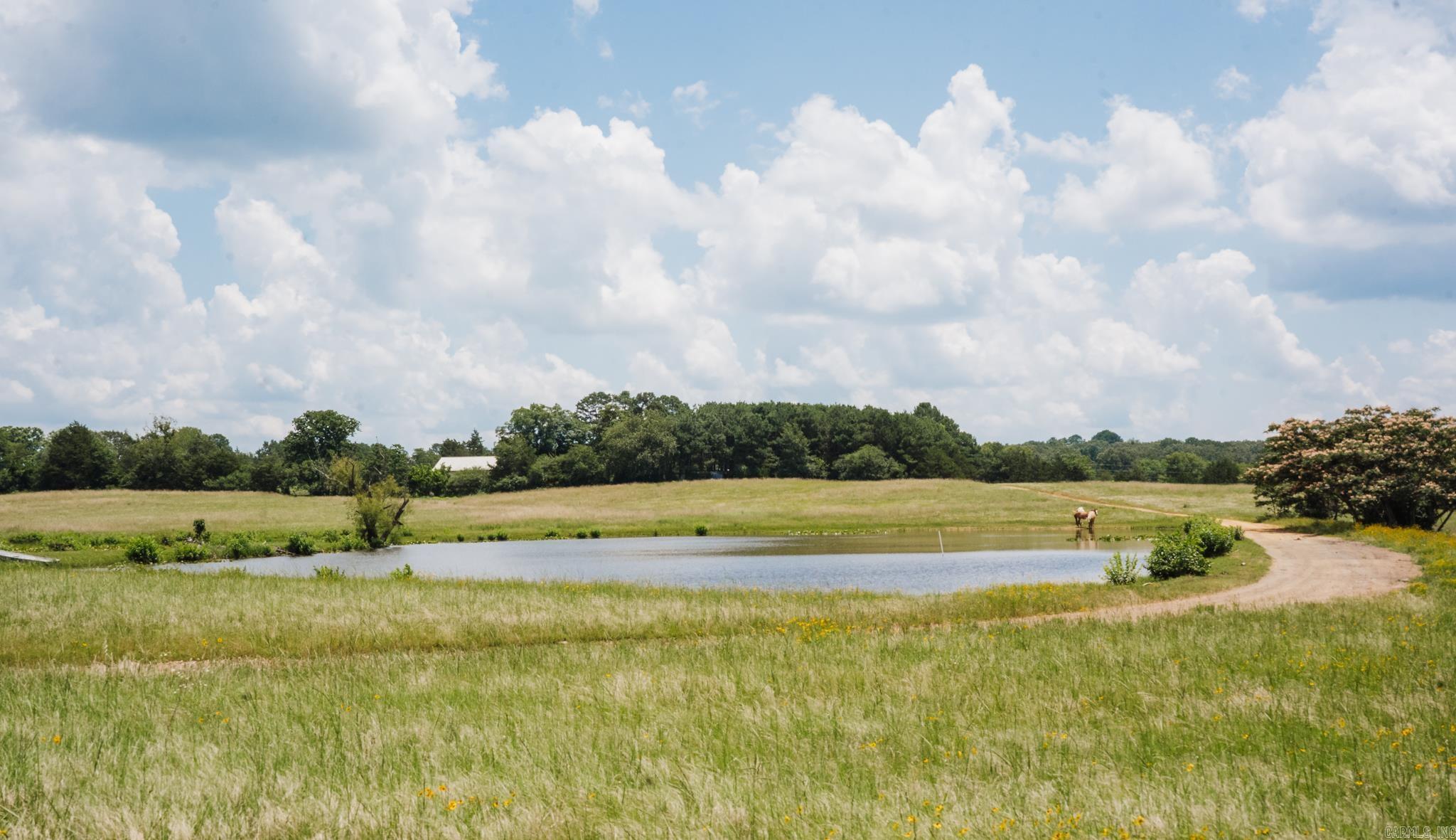 13708 W 95  Cleveland, AR