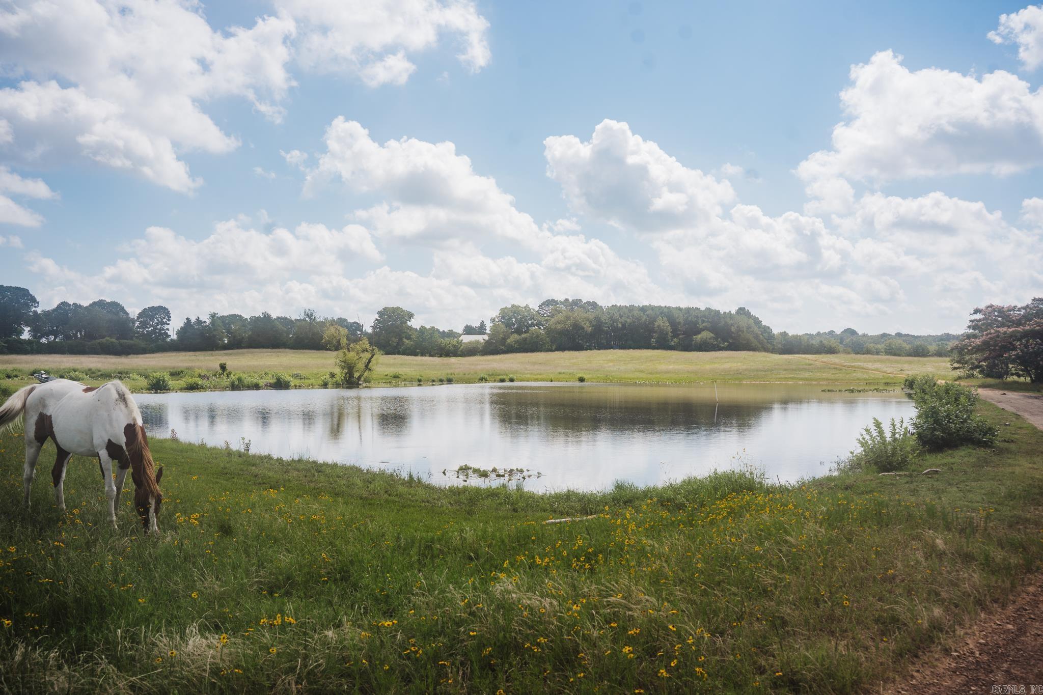 13708 W 95  Cleveland, AR