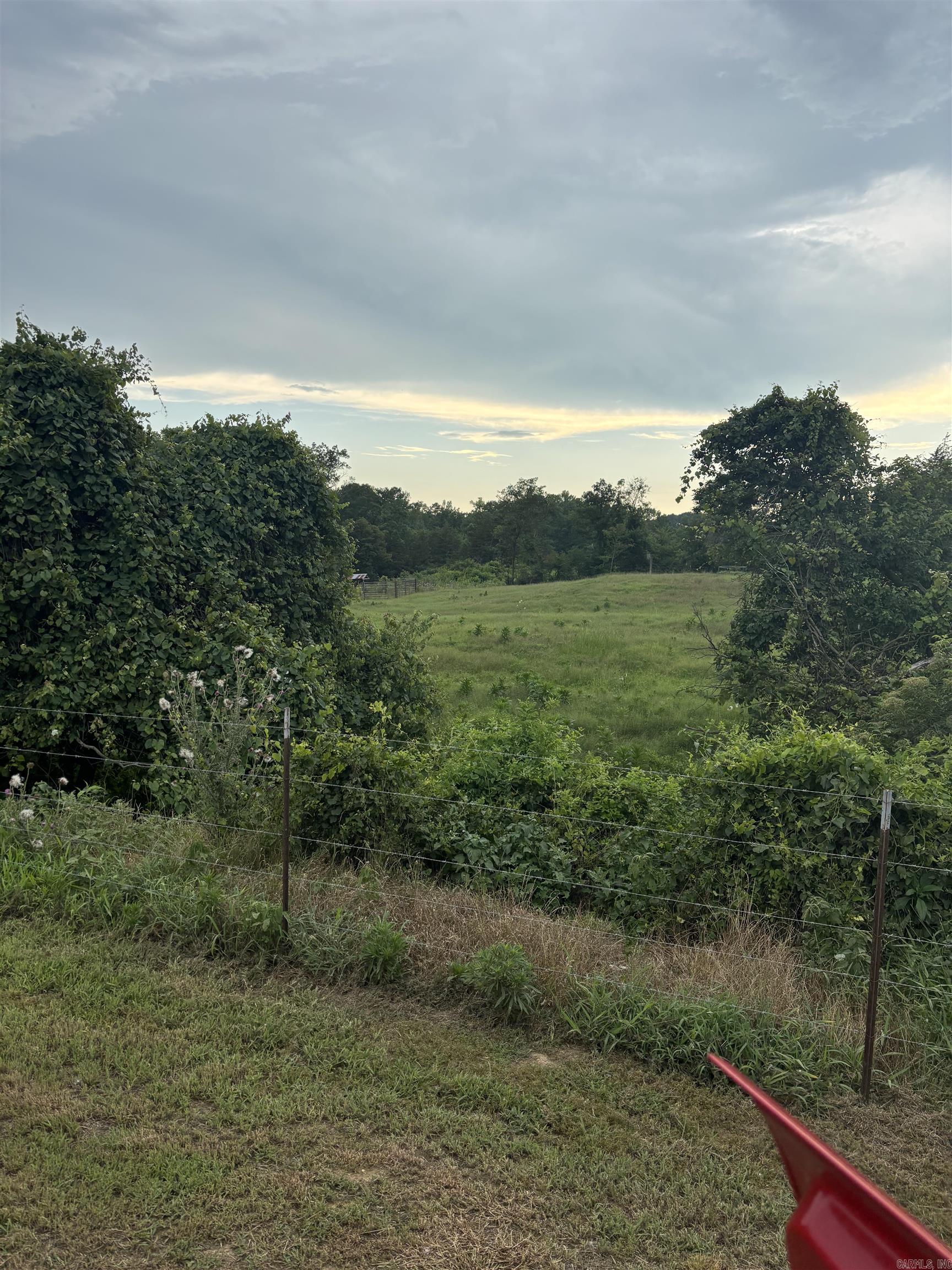 310 Gillham Lake  Dierks, AR
