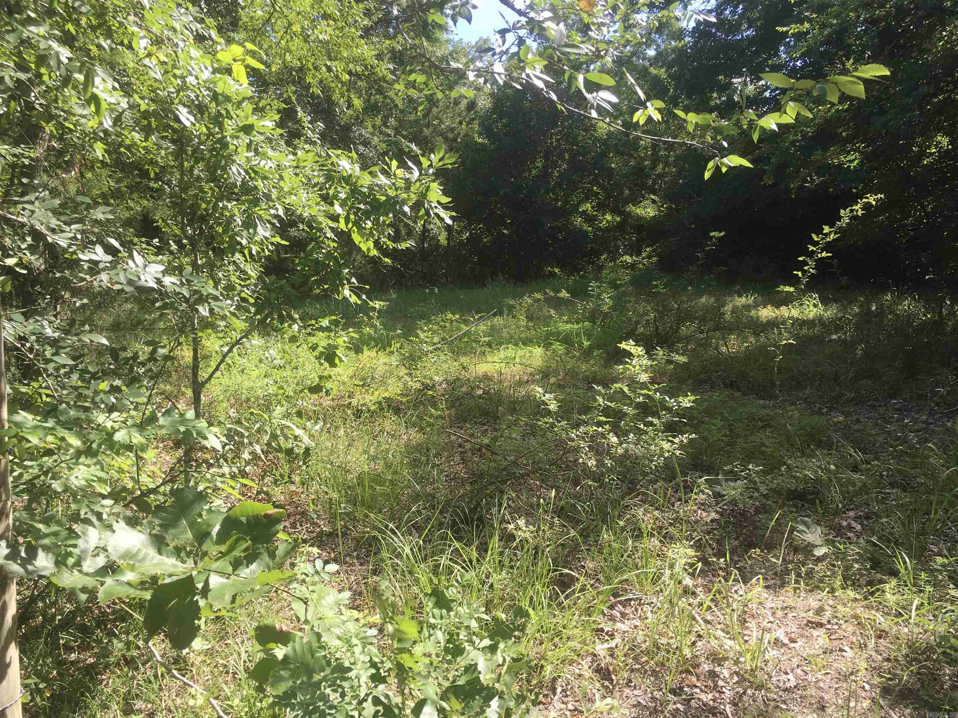 TBD Weeping Willow lane  Mena, AR
