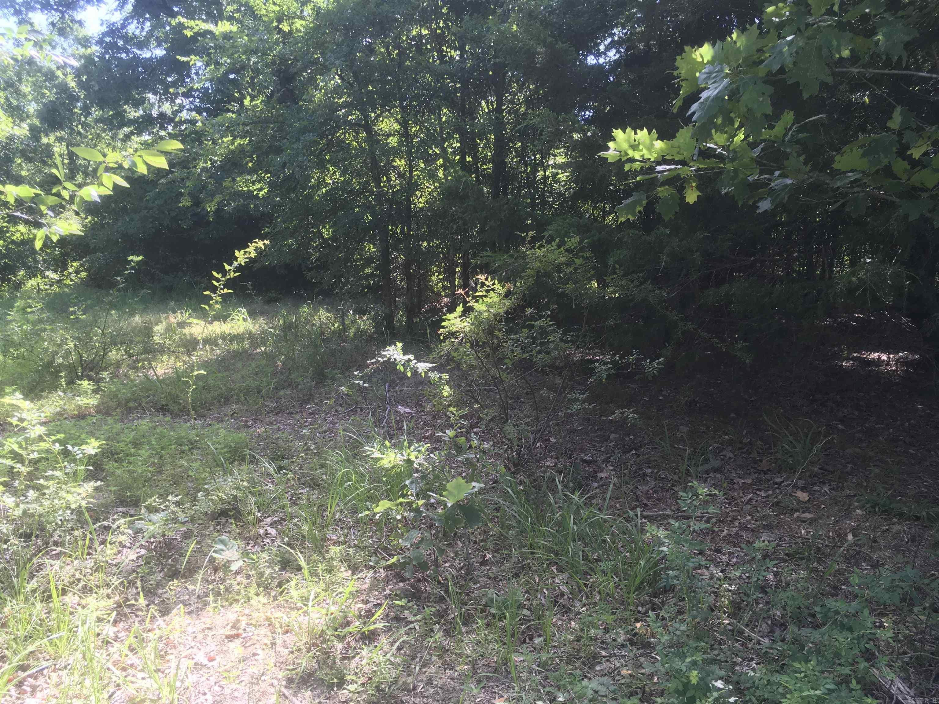 TBD Weeping Willow lane  Mena, AR