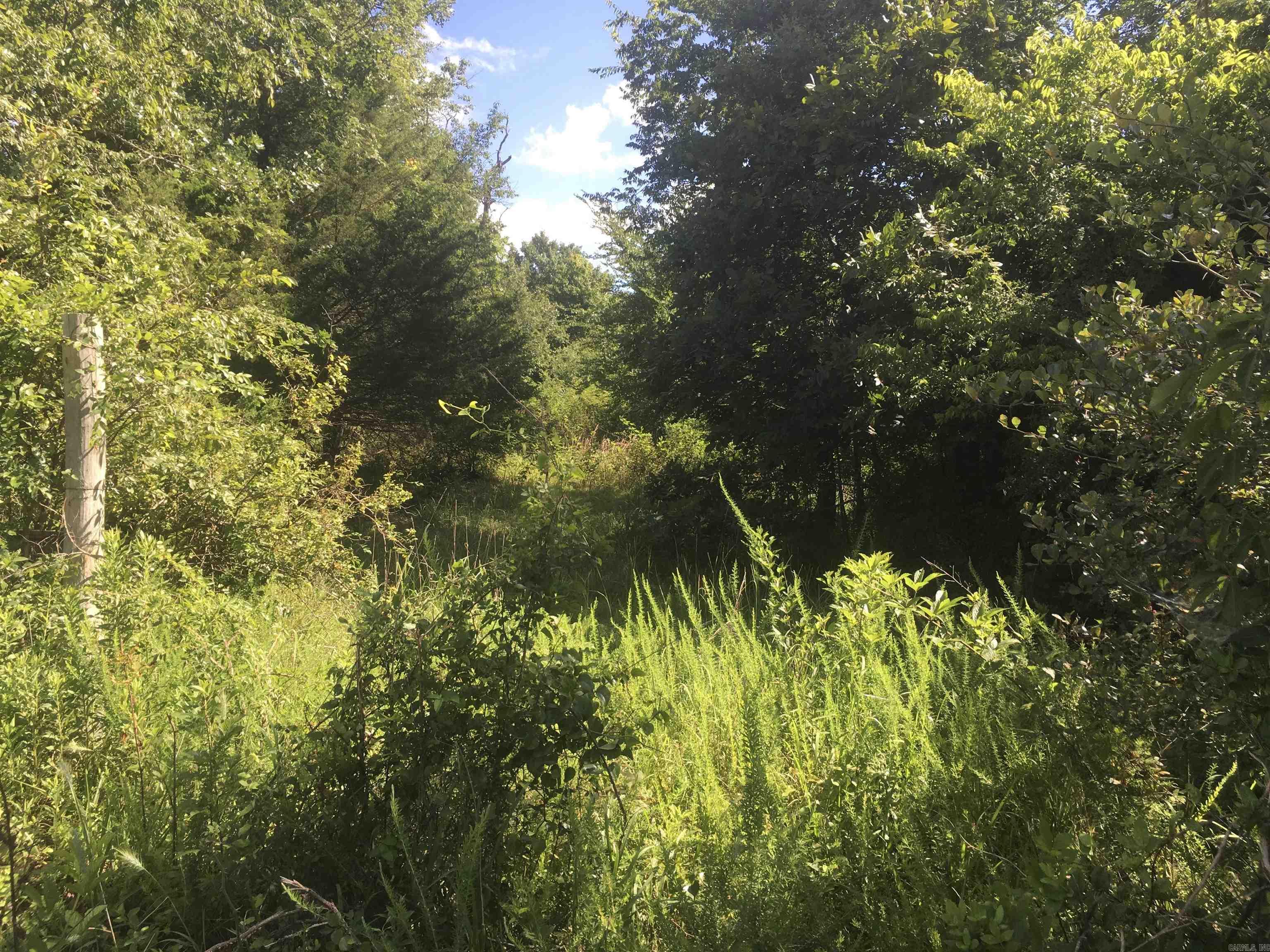 TBD Weeping Willow lane  Mena, AR