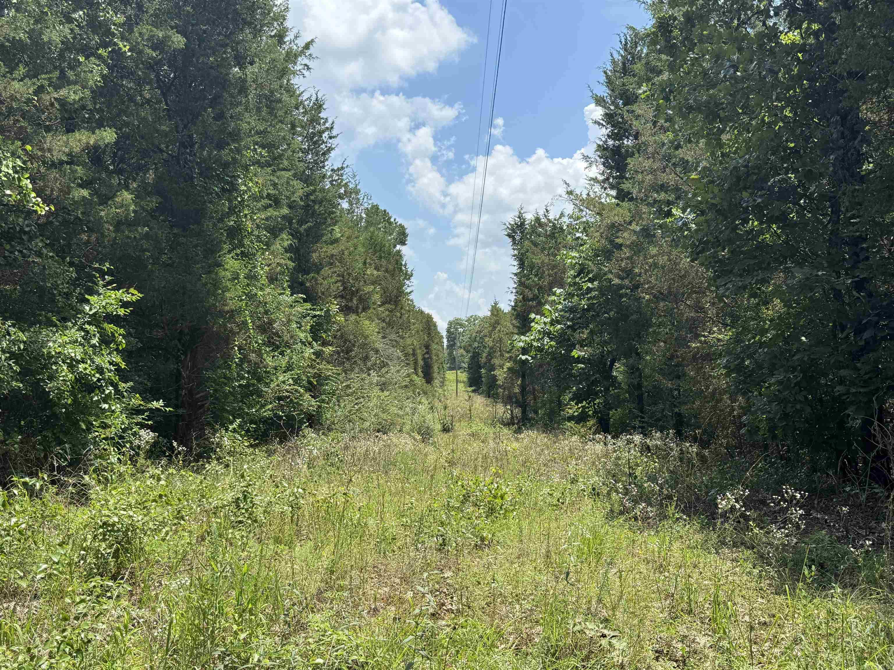 000 Uncle Bud  Center Ridge, AR