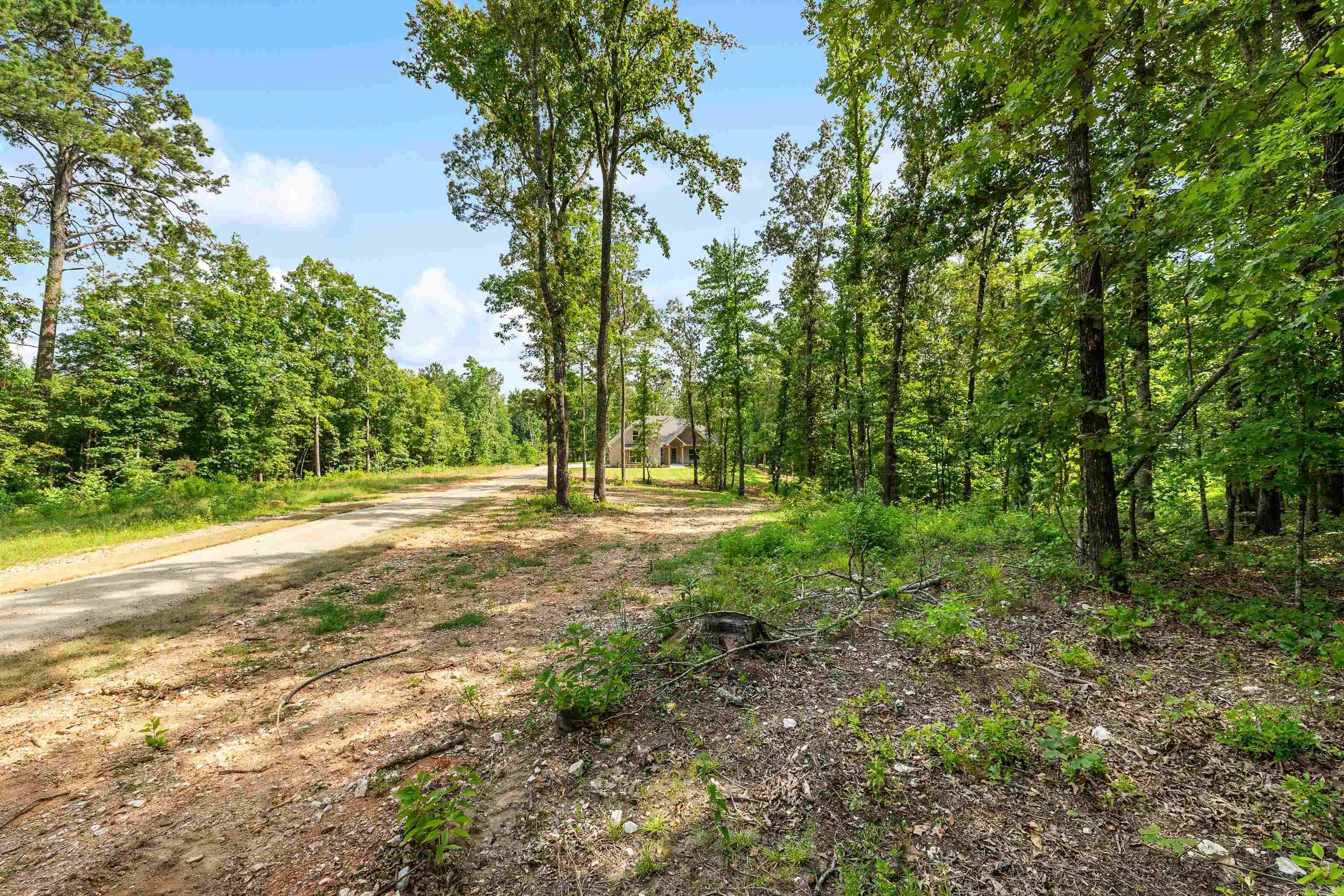 9325 Gunter Loop Benton, AR 72019