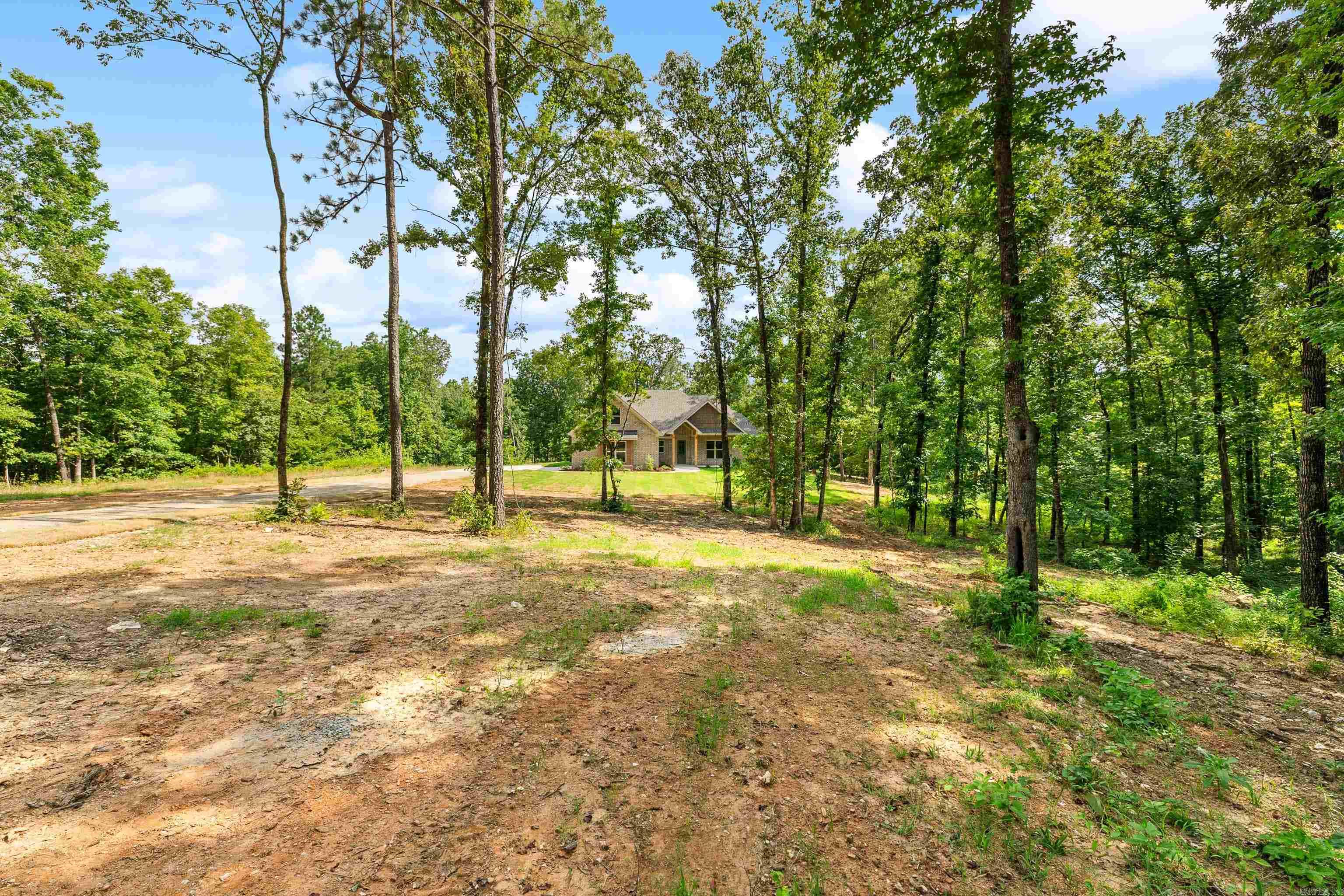 9325 Gunter Loop Benton, AR 72019