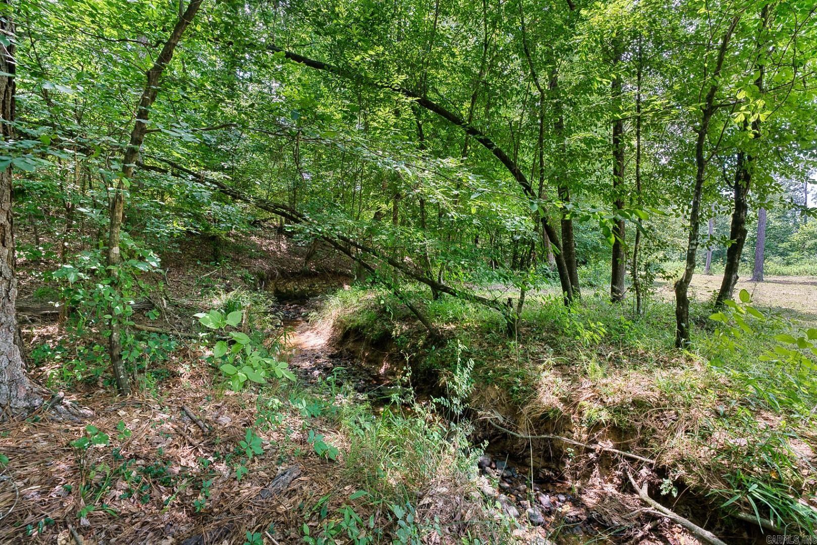 152 Anderson Loop  Amity, AR